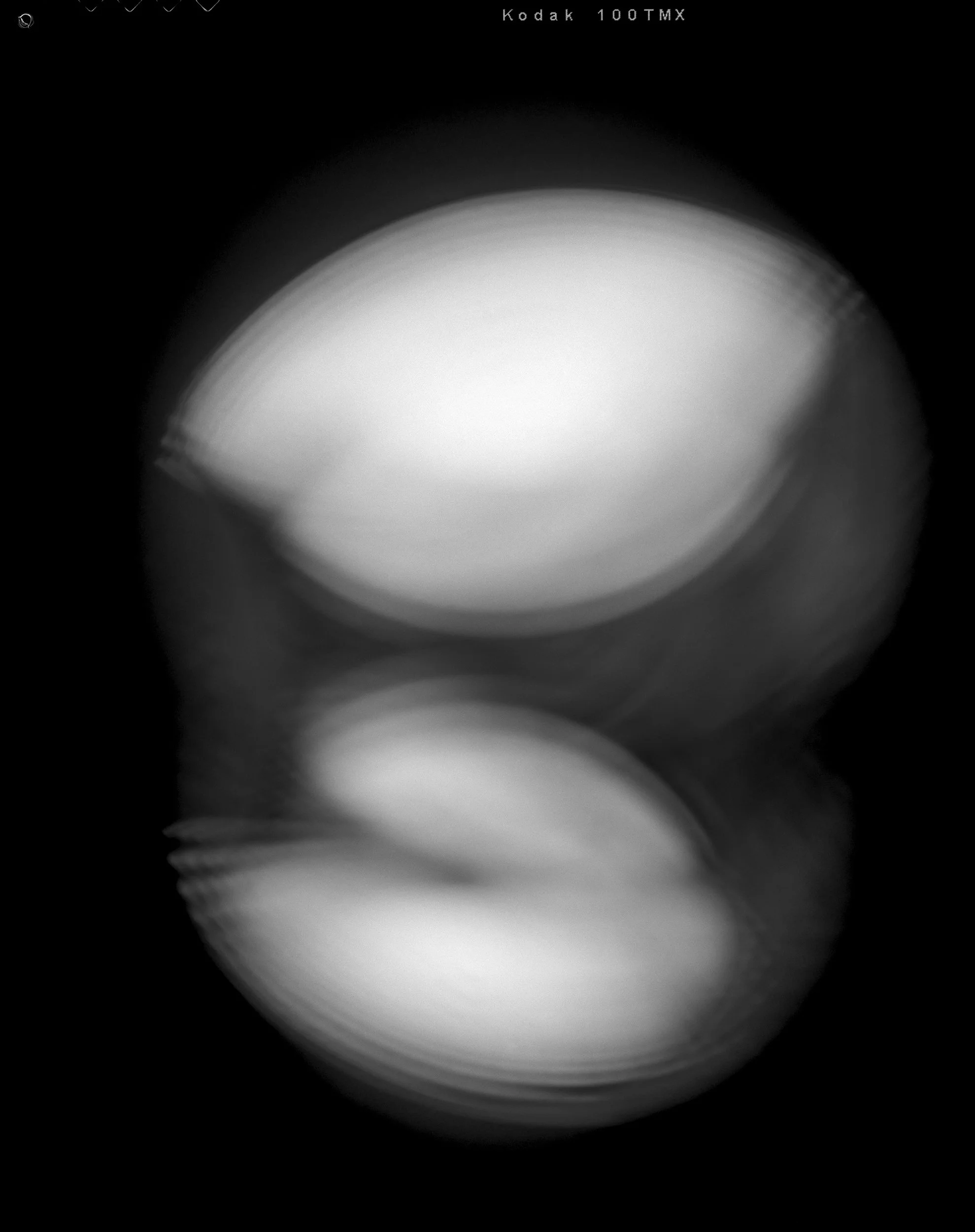 'Asphere 75_05' 2025