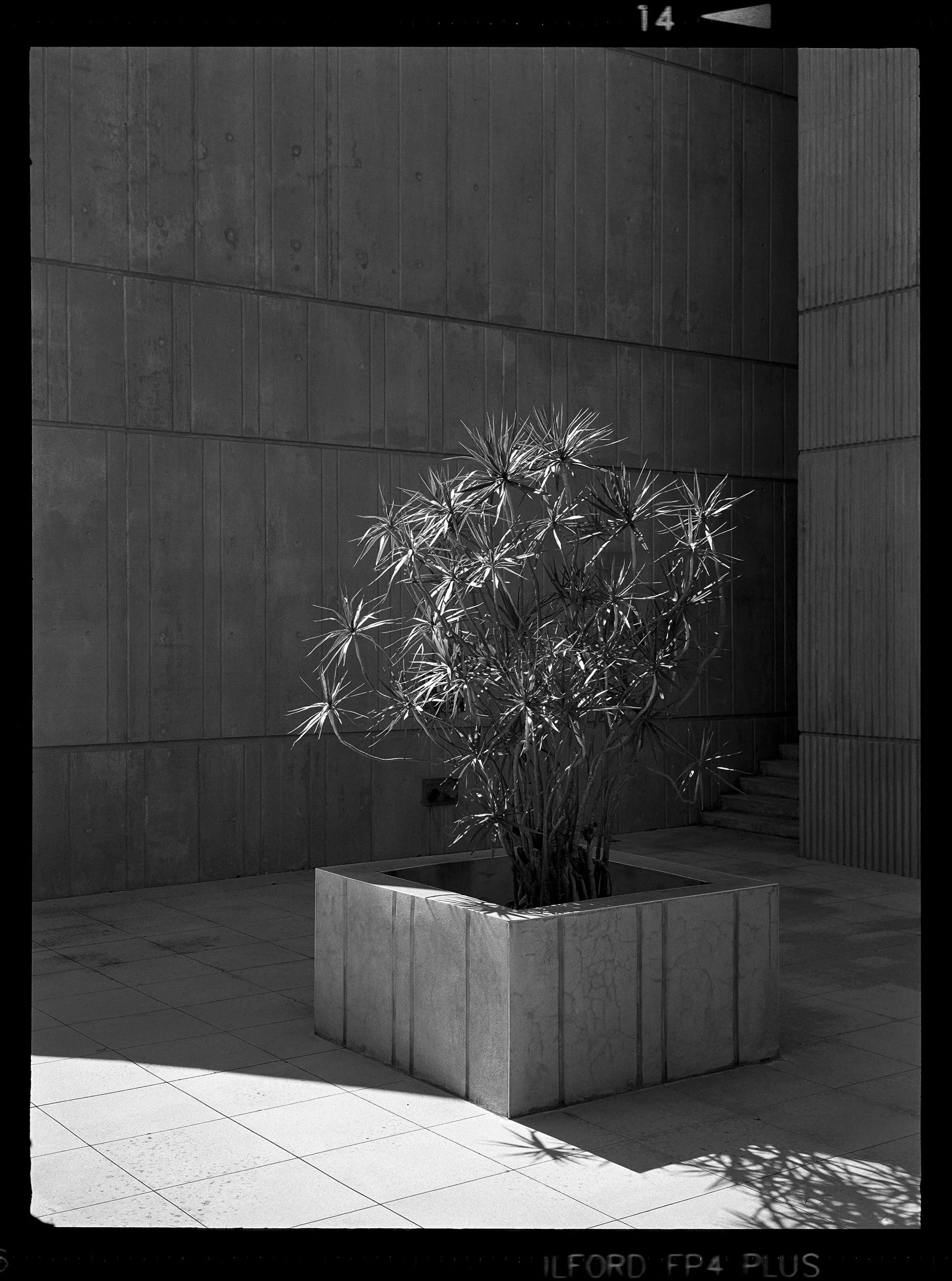 'H.C._MCUM_0744_14'  2020