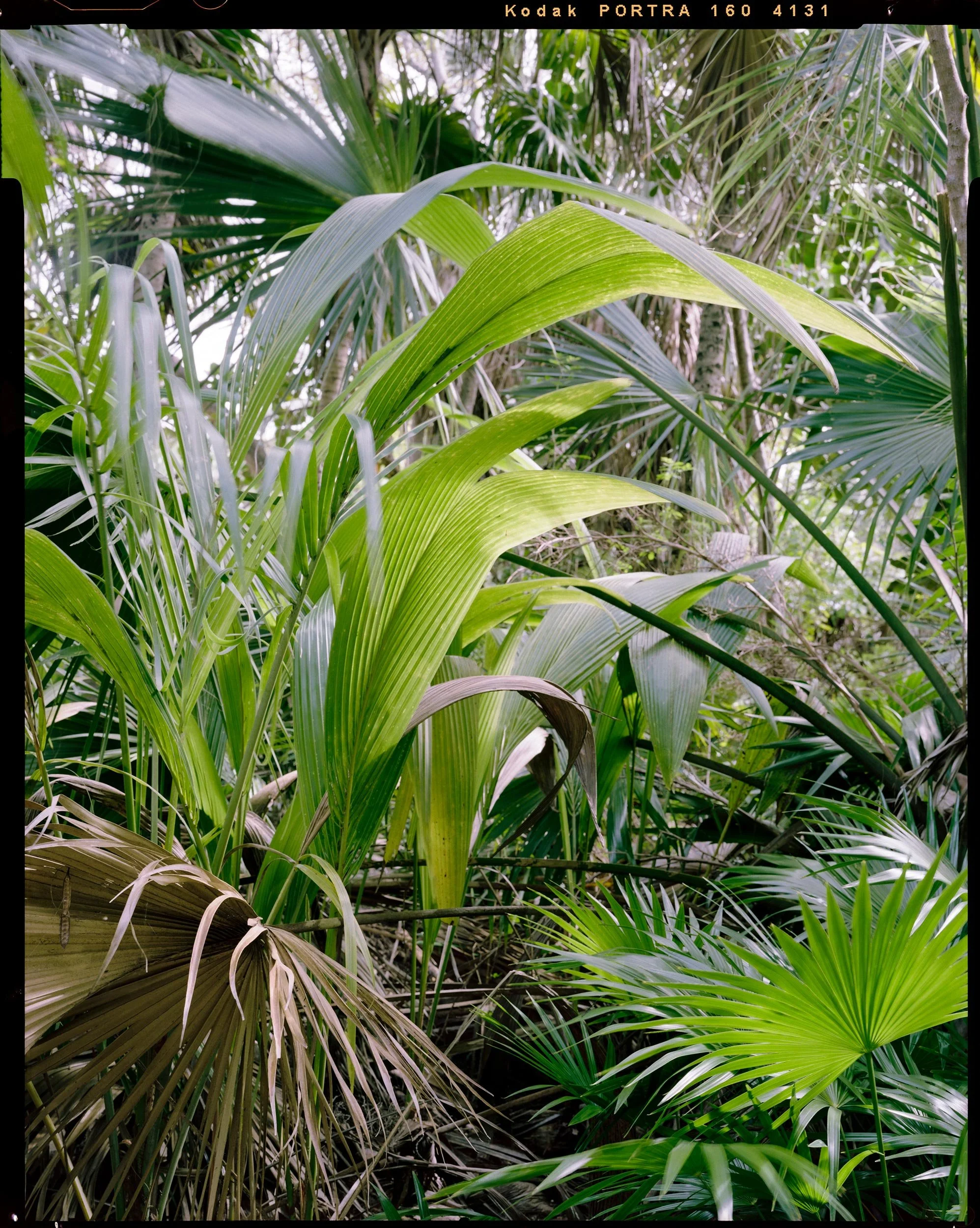 'Outdoor Enclosures_12_4131'   2021