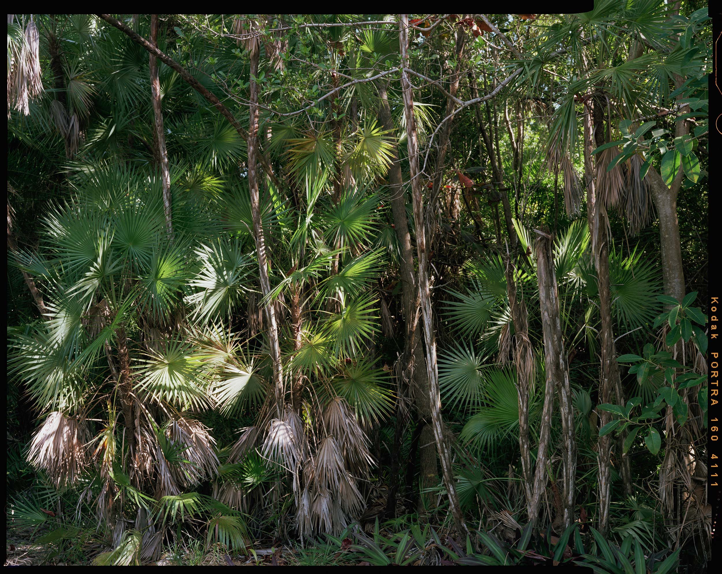 'Outdoor Enclosures_16_4111'  2020