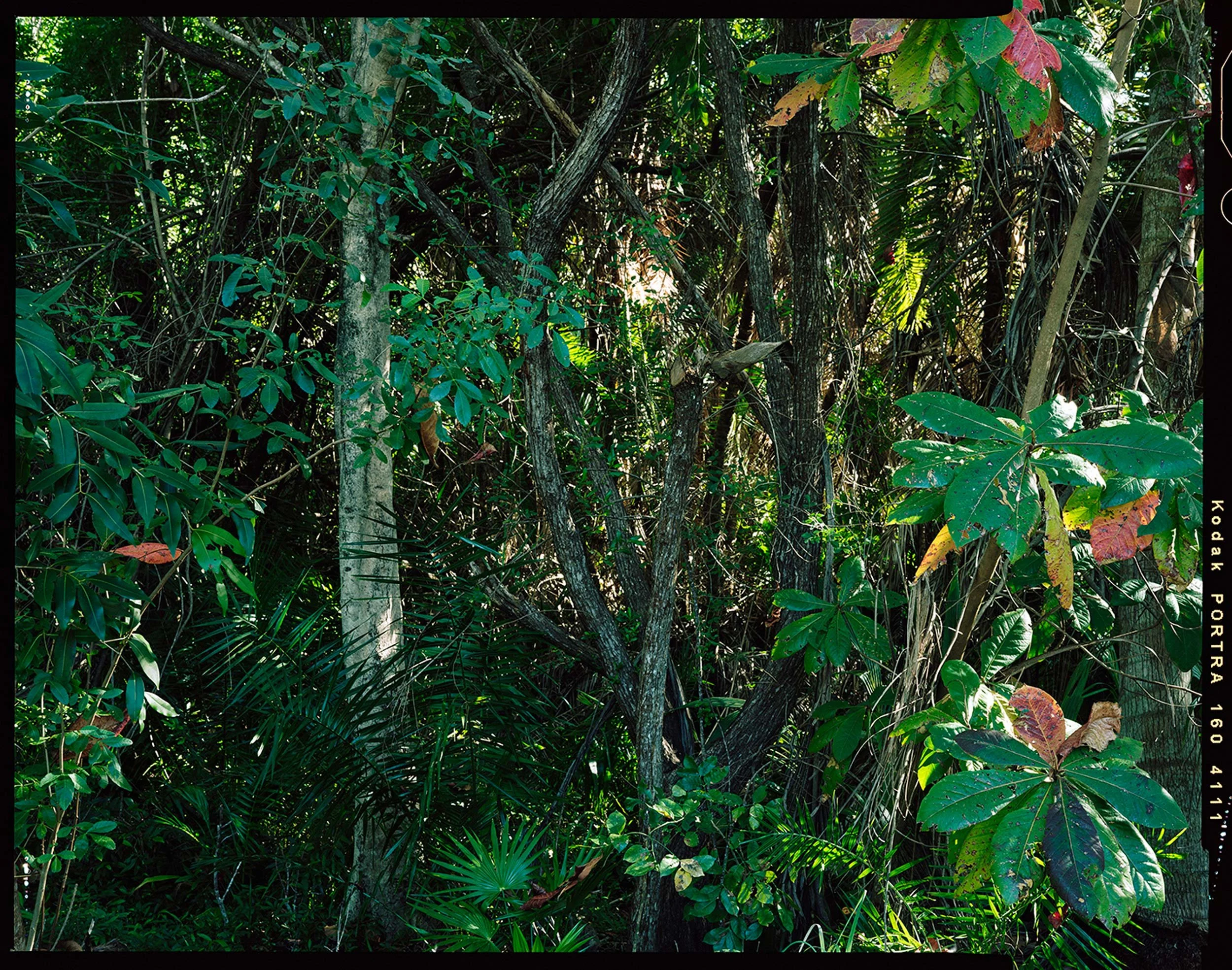 'Outdoor Enclosures_02_4111'   2020