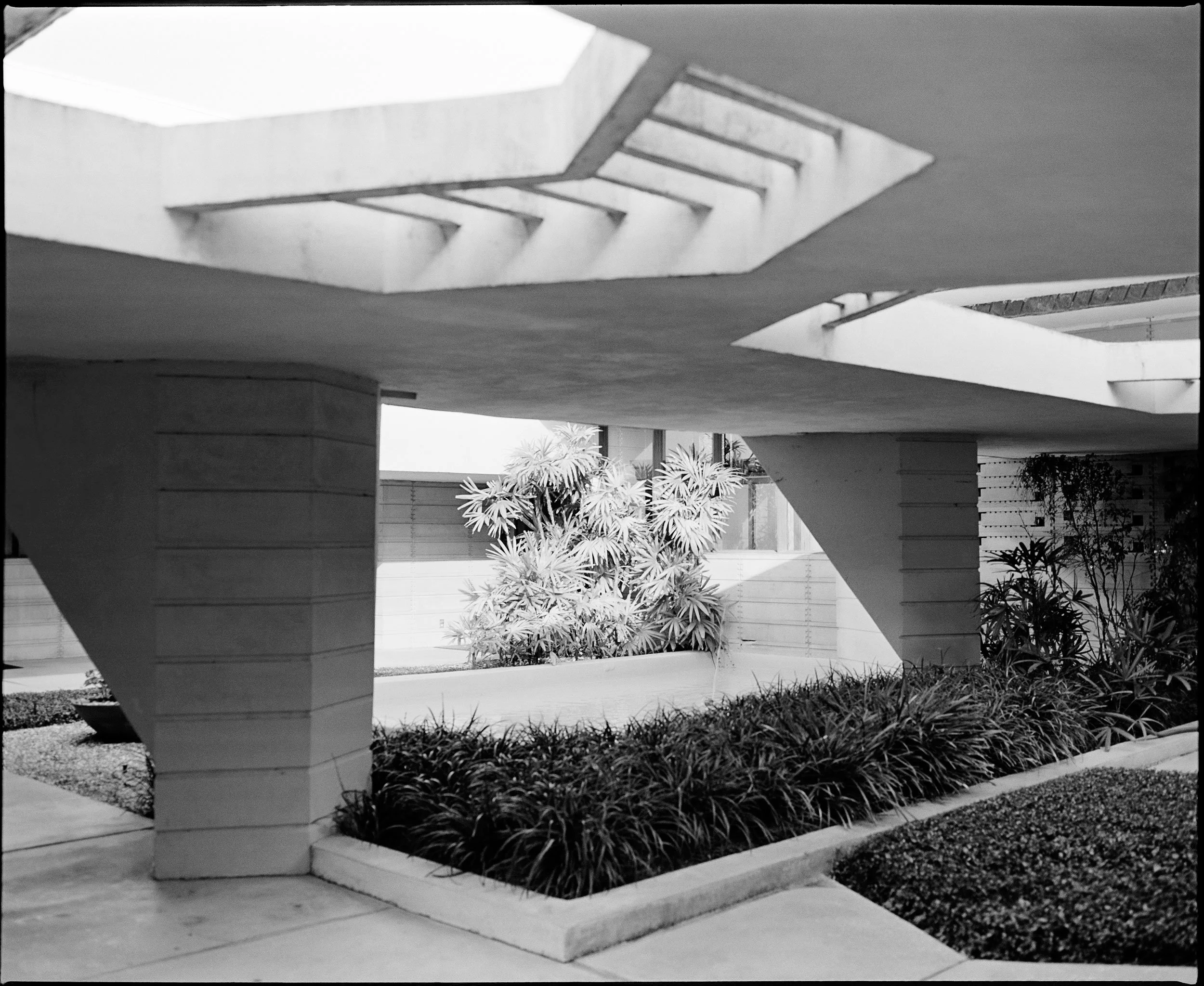 'Swimming with Mies 4250_7'   Lakeland 2019