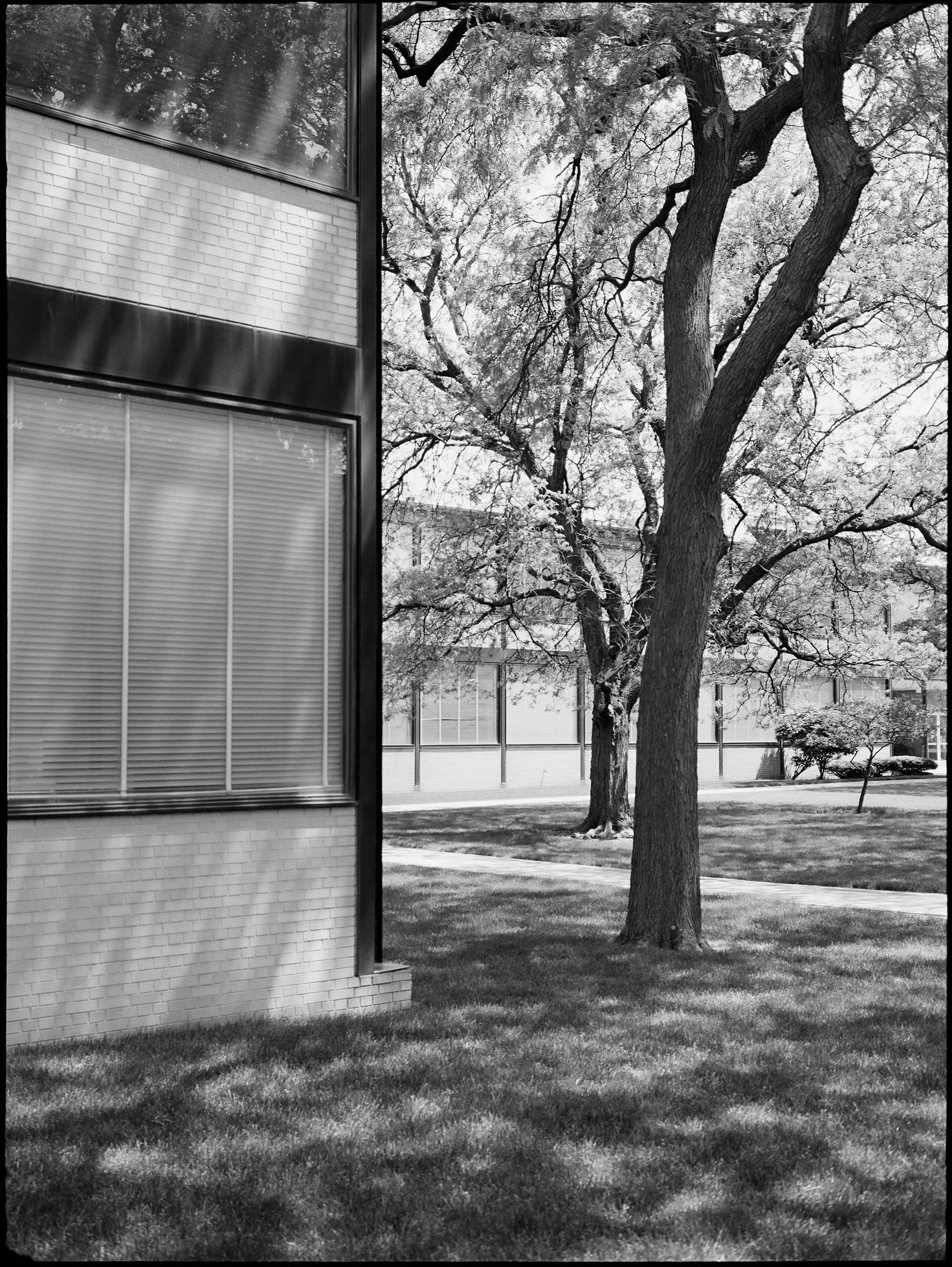 'Swimming with Mies 0028_4'   Chicago 2018