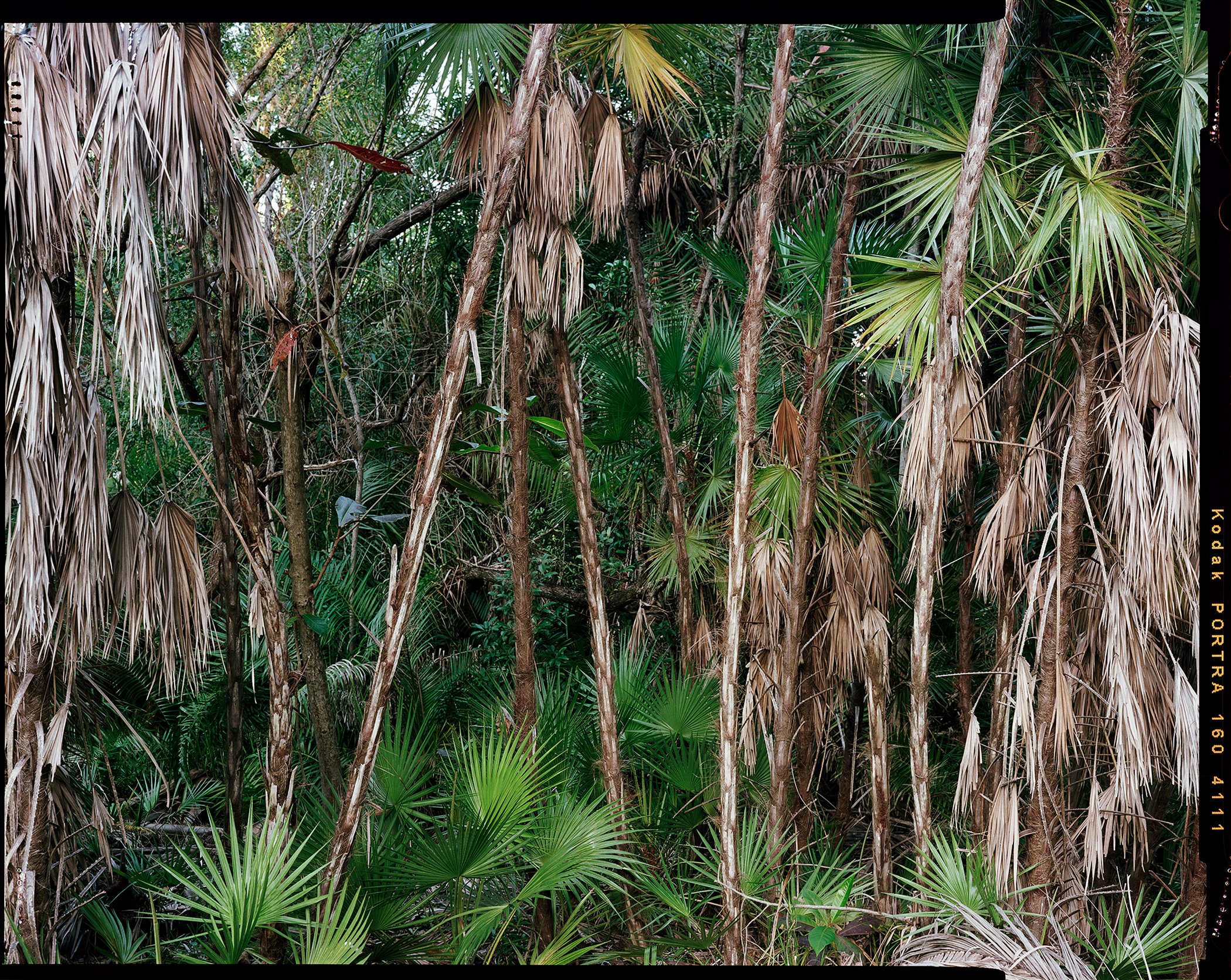 'Outdoor Enclosures_01_4111' 2020