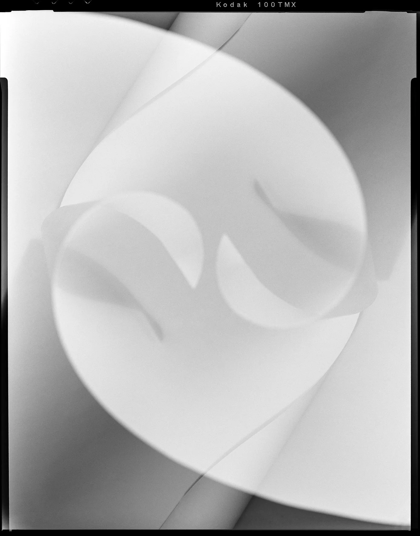 'Abstraction_19'  2025