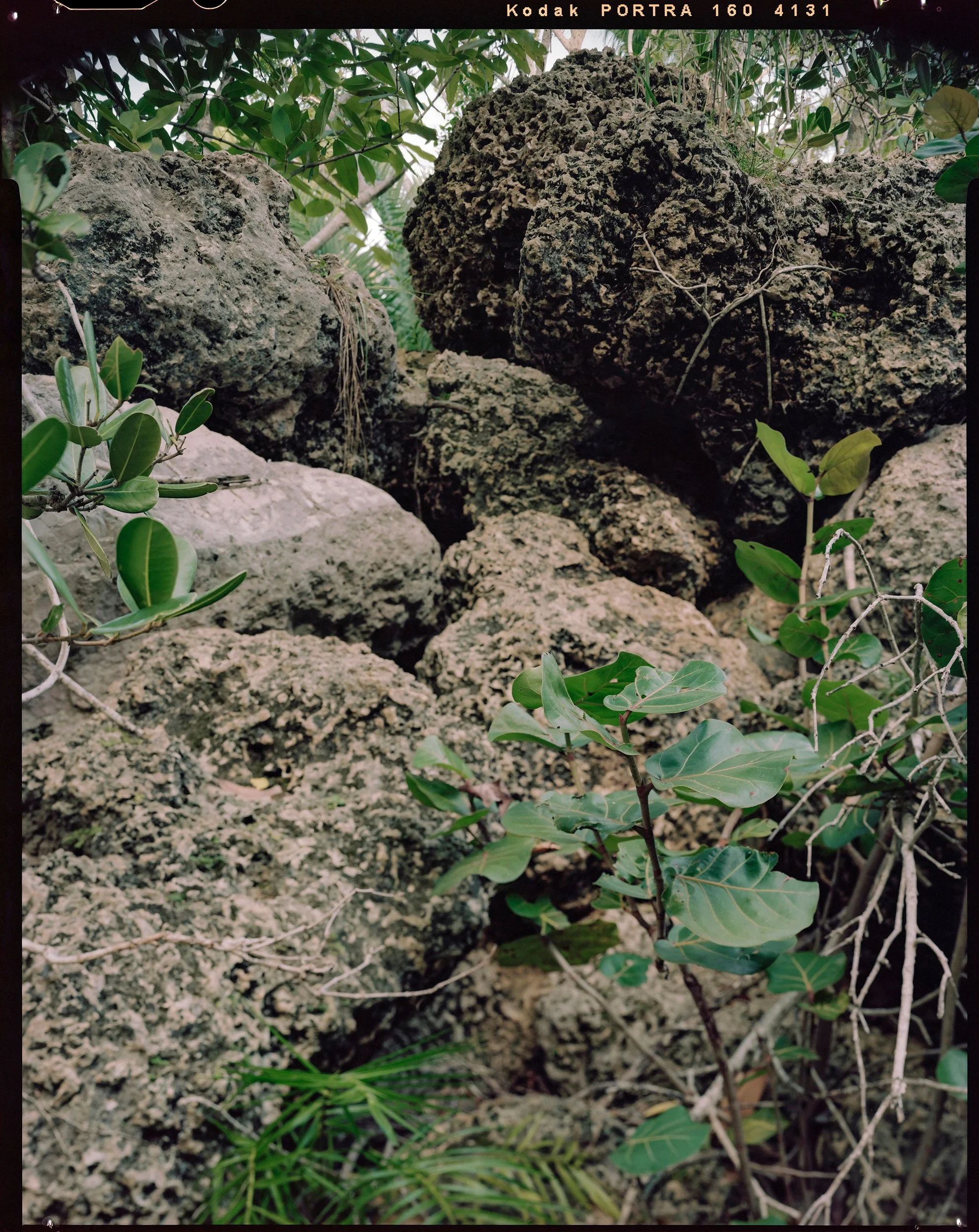 'Outdoor Enclosures_15_4131'   2021