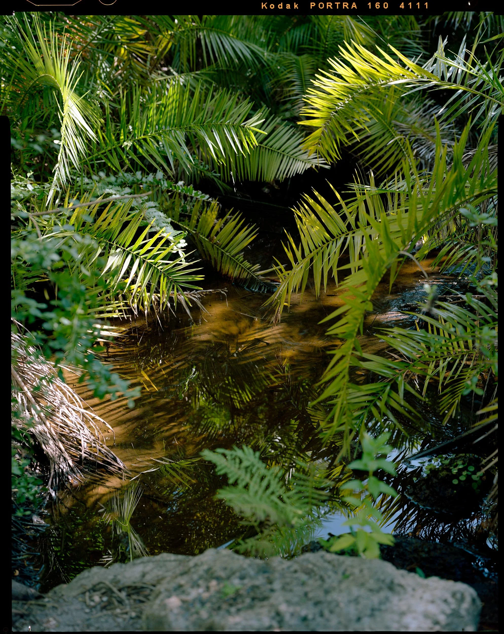 'Outdoor Enclosures_05_4111['   2020