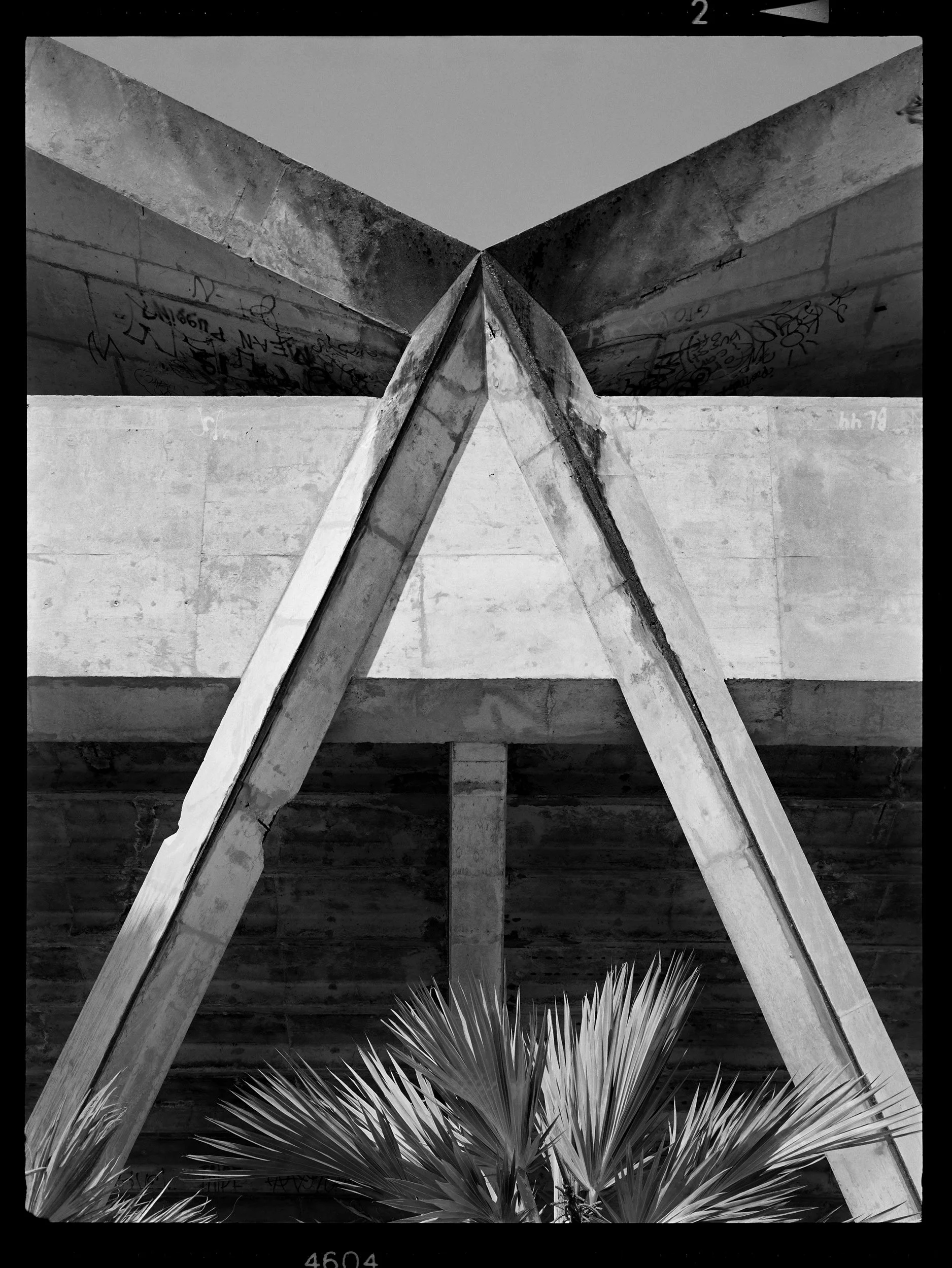 'HC_MS_0548_02'  2021