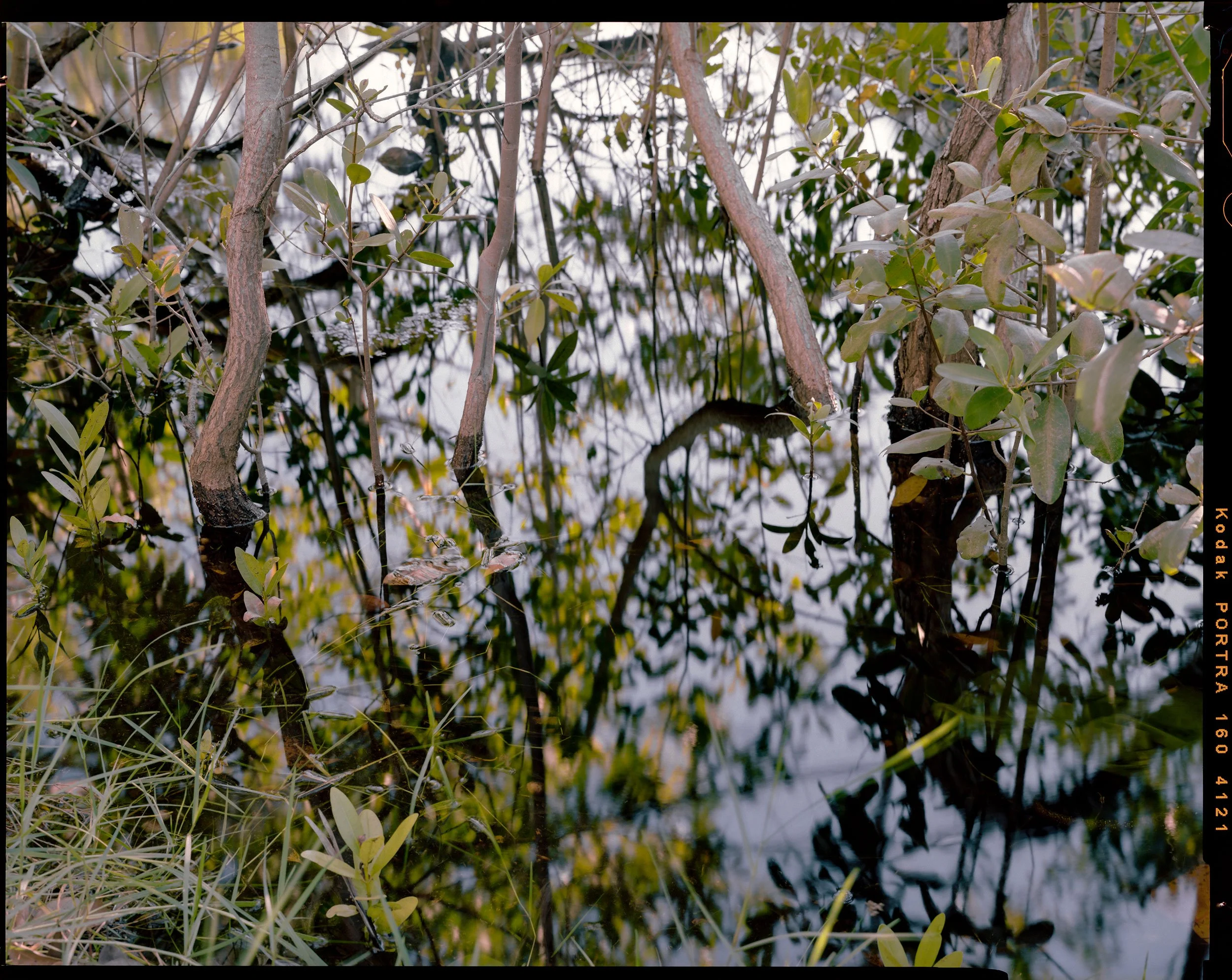 'Outdoor Enclosures_14_4121'   2021