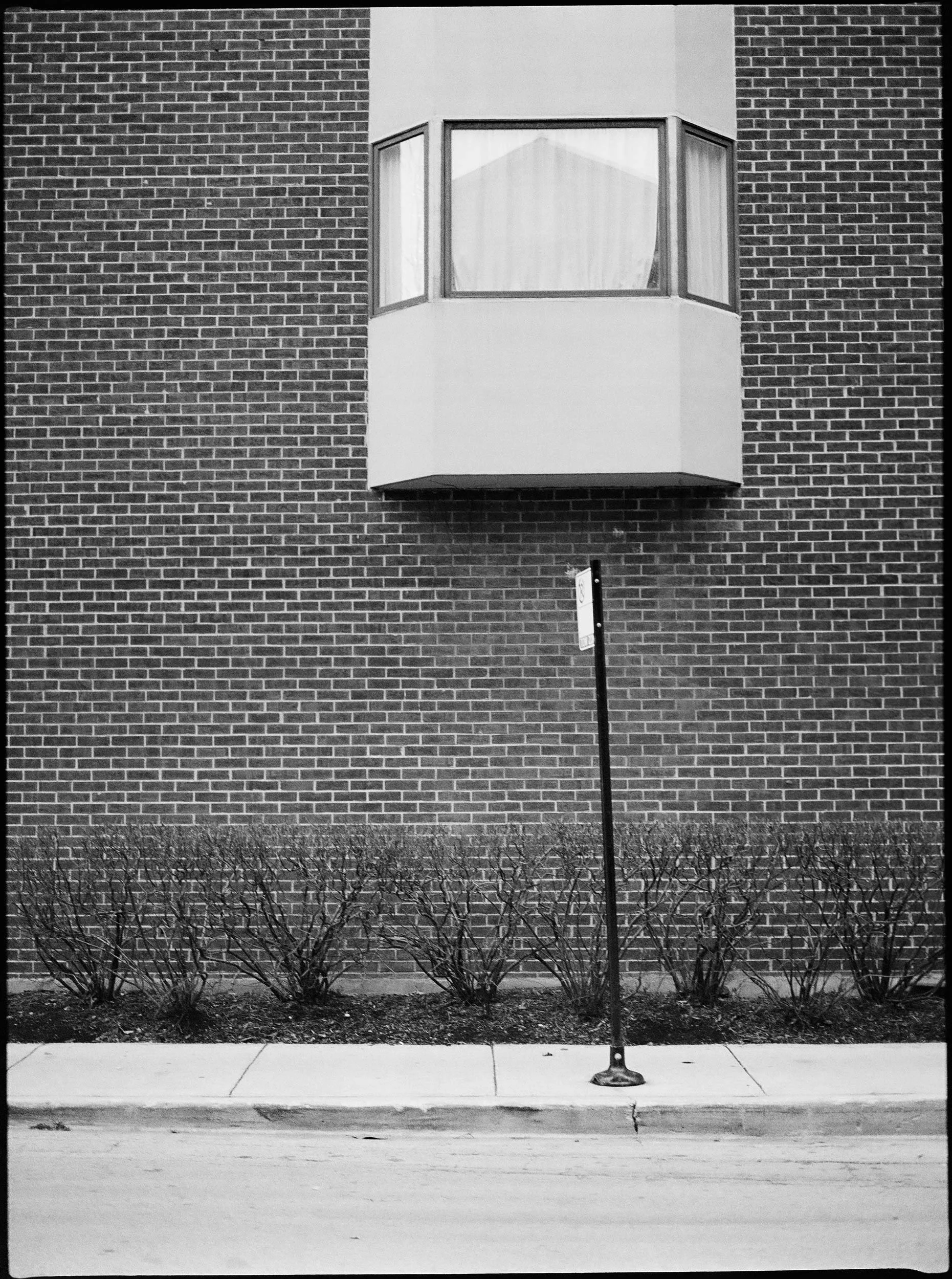 'Swimming with Mies 1022_9'   Chicago 2018