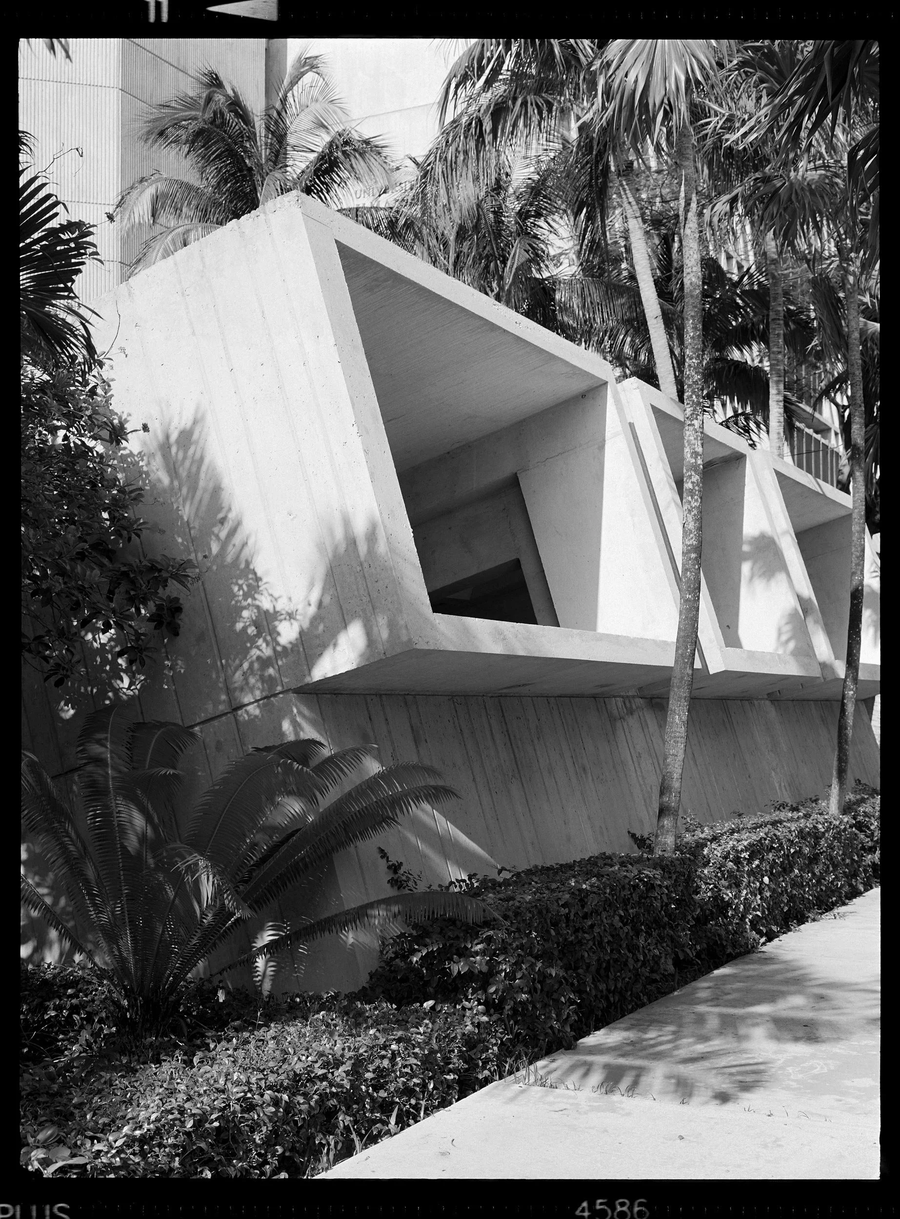 'HC_MCUM_0743_11'  2020