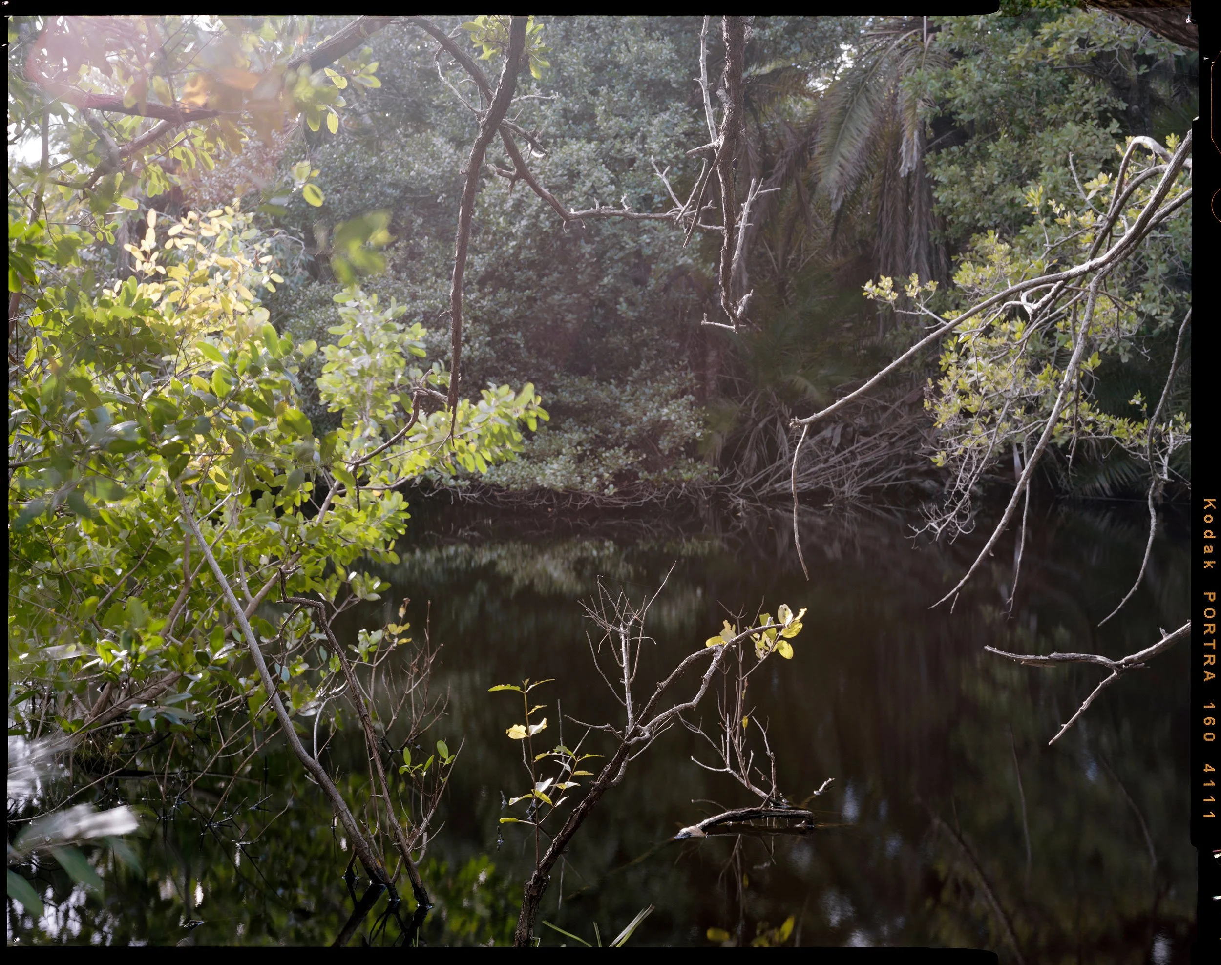 'Outdoor Enclosures_06_4111'   2021