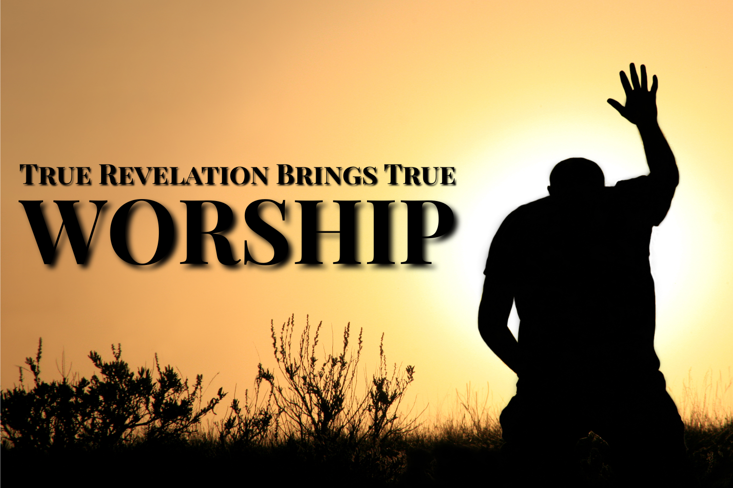 True Revelation Brings True Worship