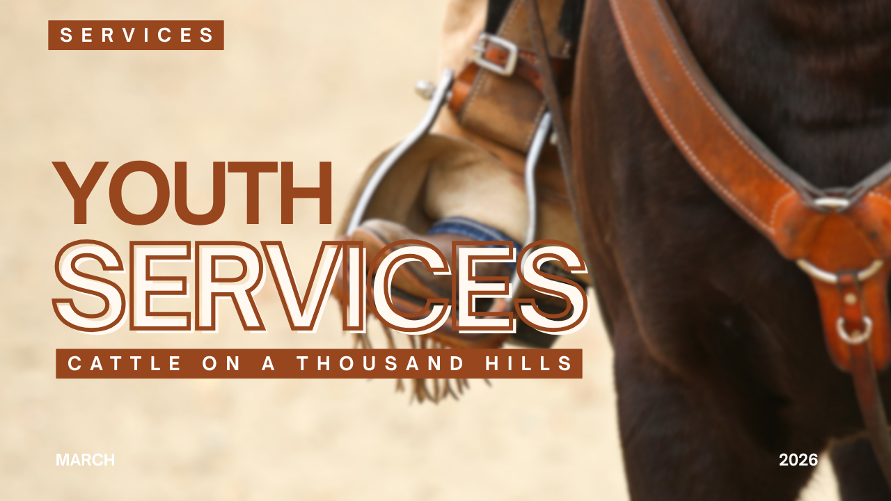 Young Adult Services
