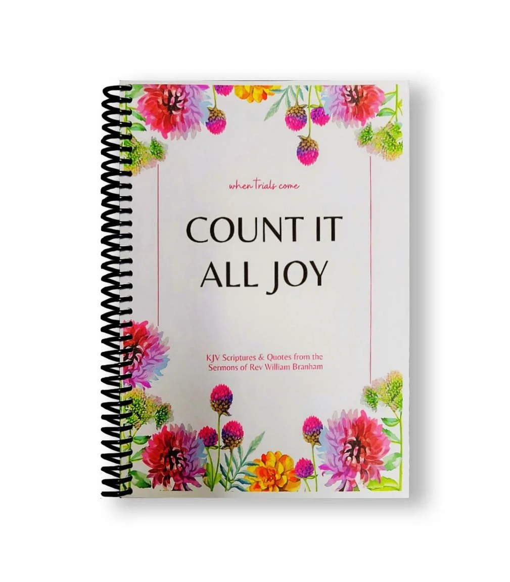 CountItAllJoy.jpg
