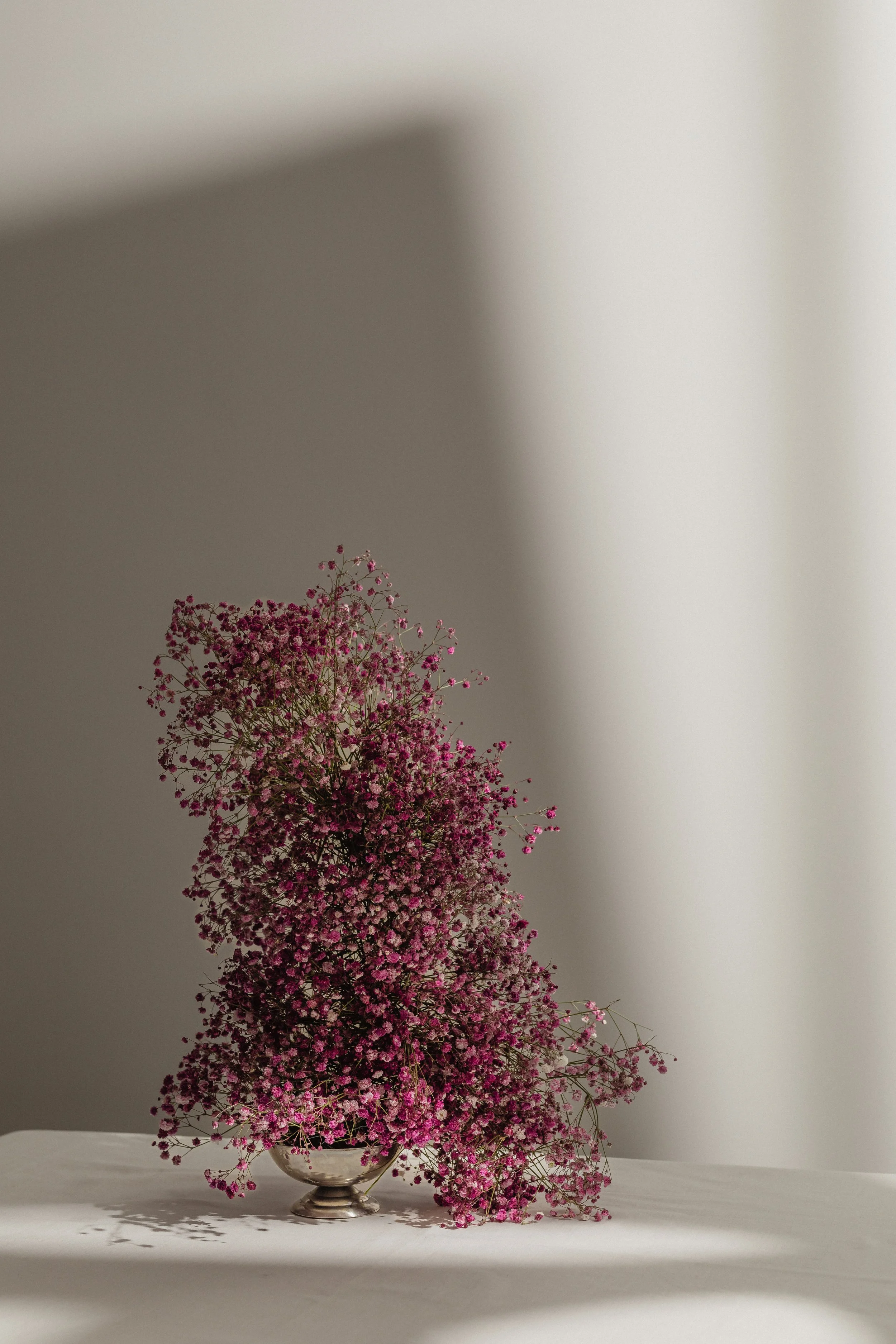Pink and purple gypsophila flowers in a silver bowl on a white surface with soft shadows.