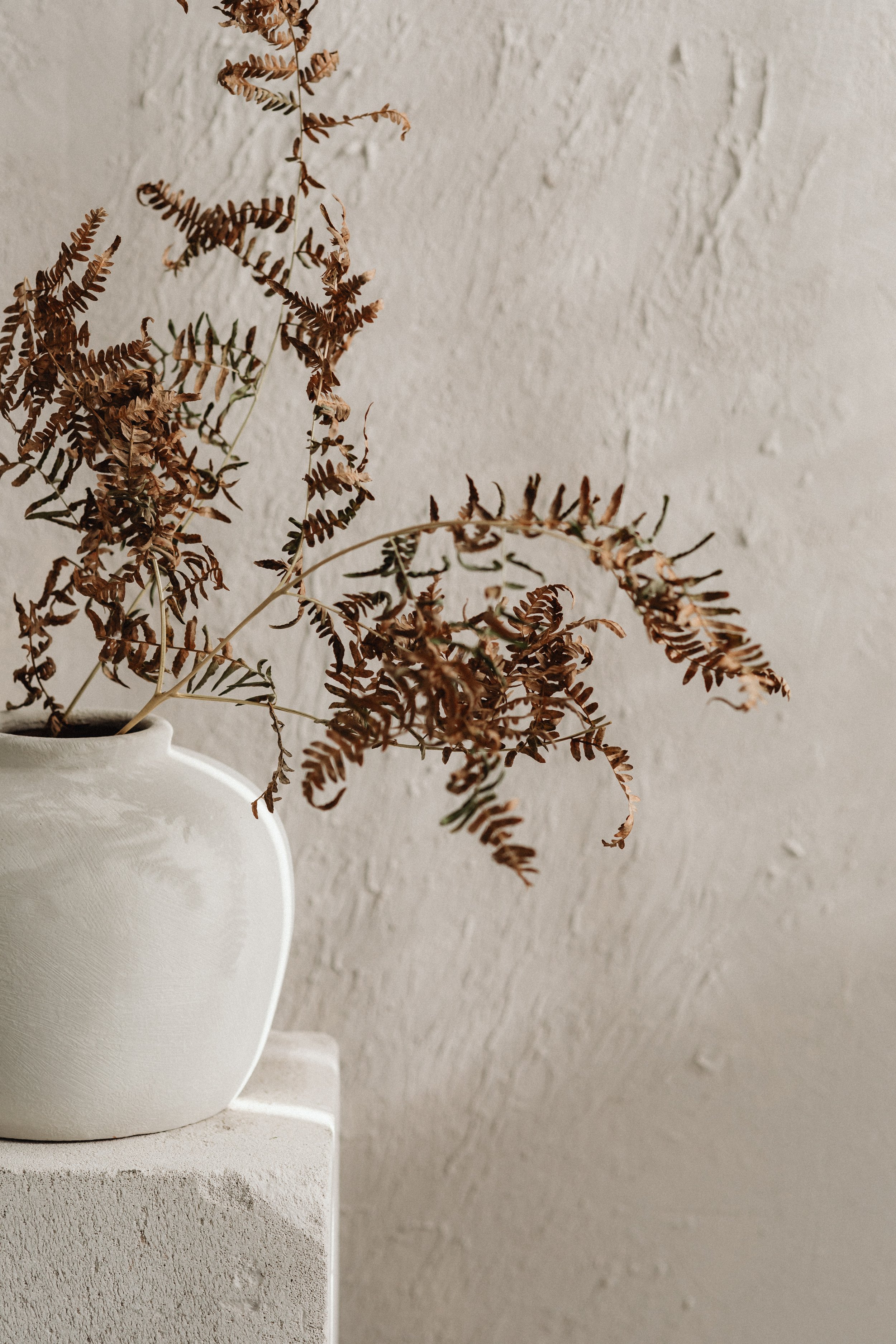 Dried brown fern leaves in a white ceramic vase on a textured white surface against a beige textured wall.