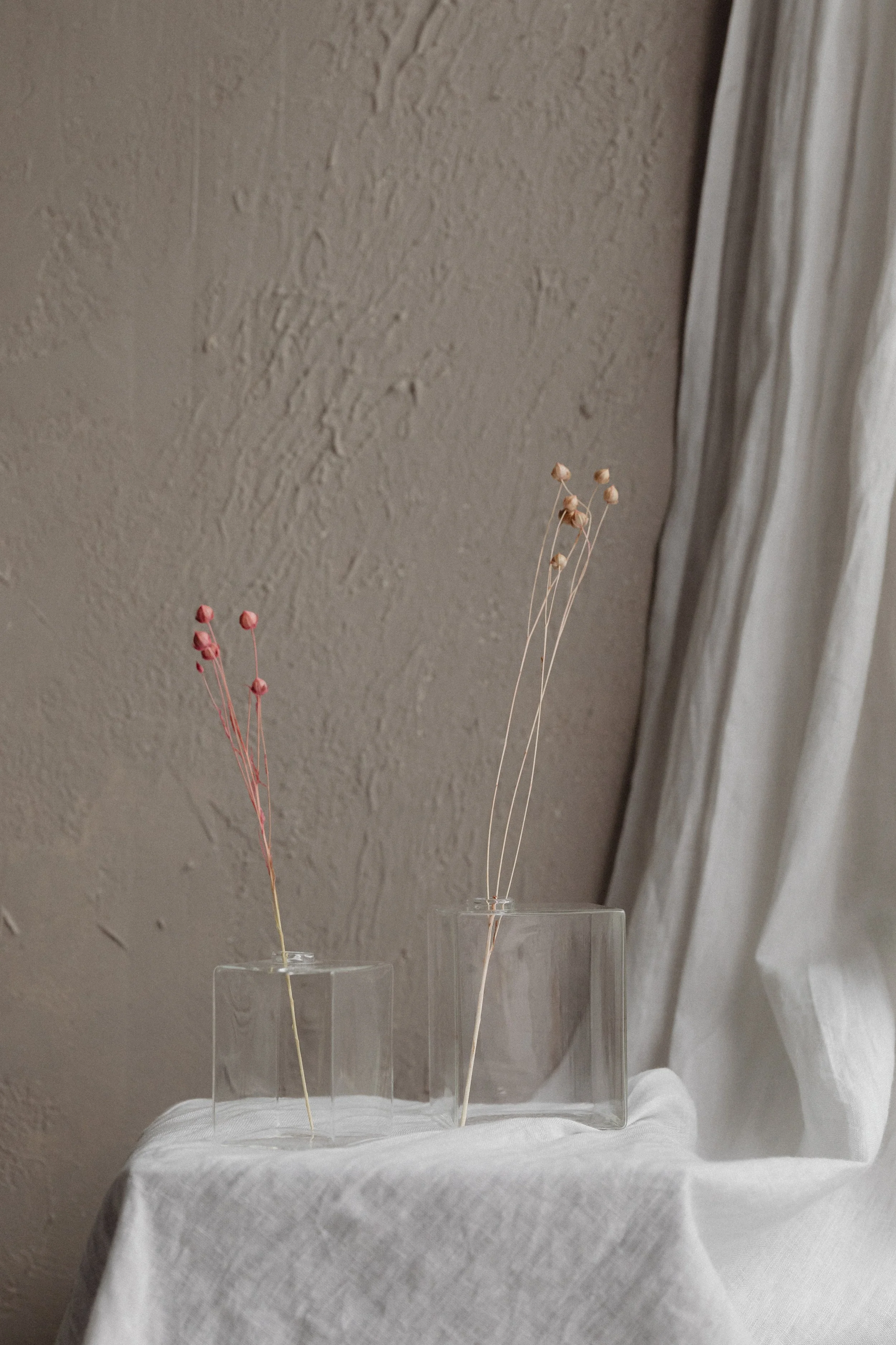 Two glass vases with dried flowers, one with pink buds and the other with beige buds, on white fabric near a textured beige wall and a white curtain.