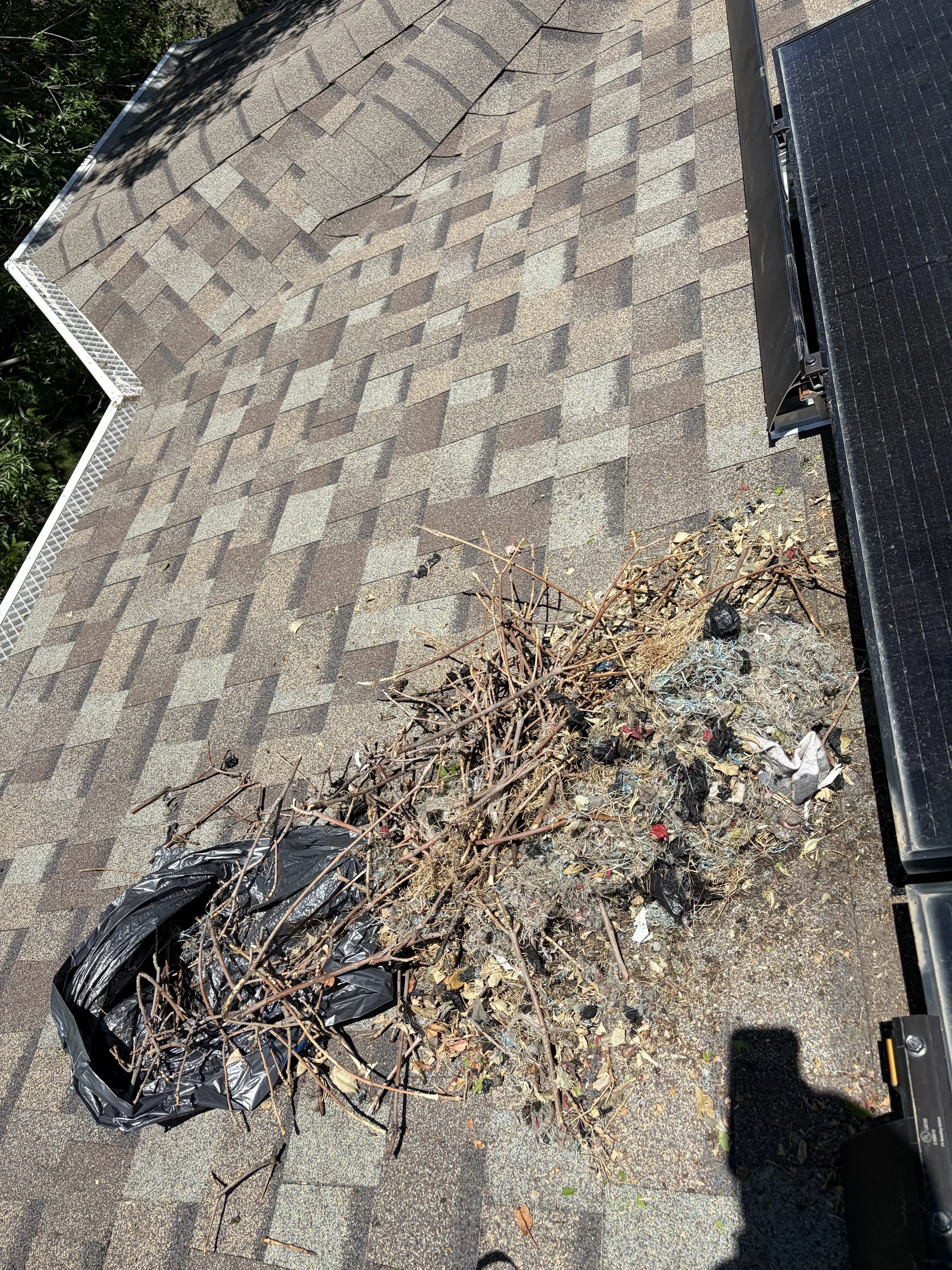 A pile of dead branches, leaves, and trash on a tiled roof, with a part of a black solar panel and some tools visible.
