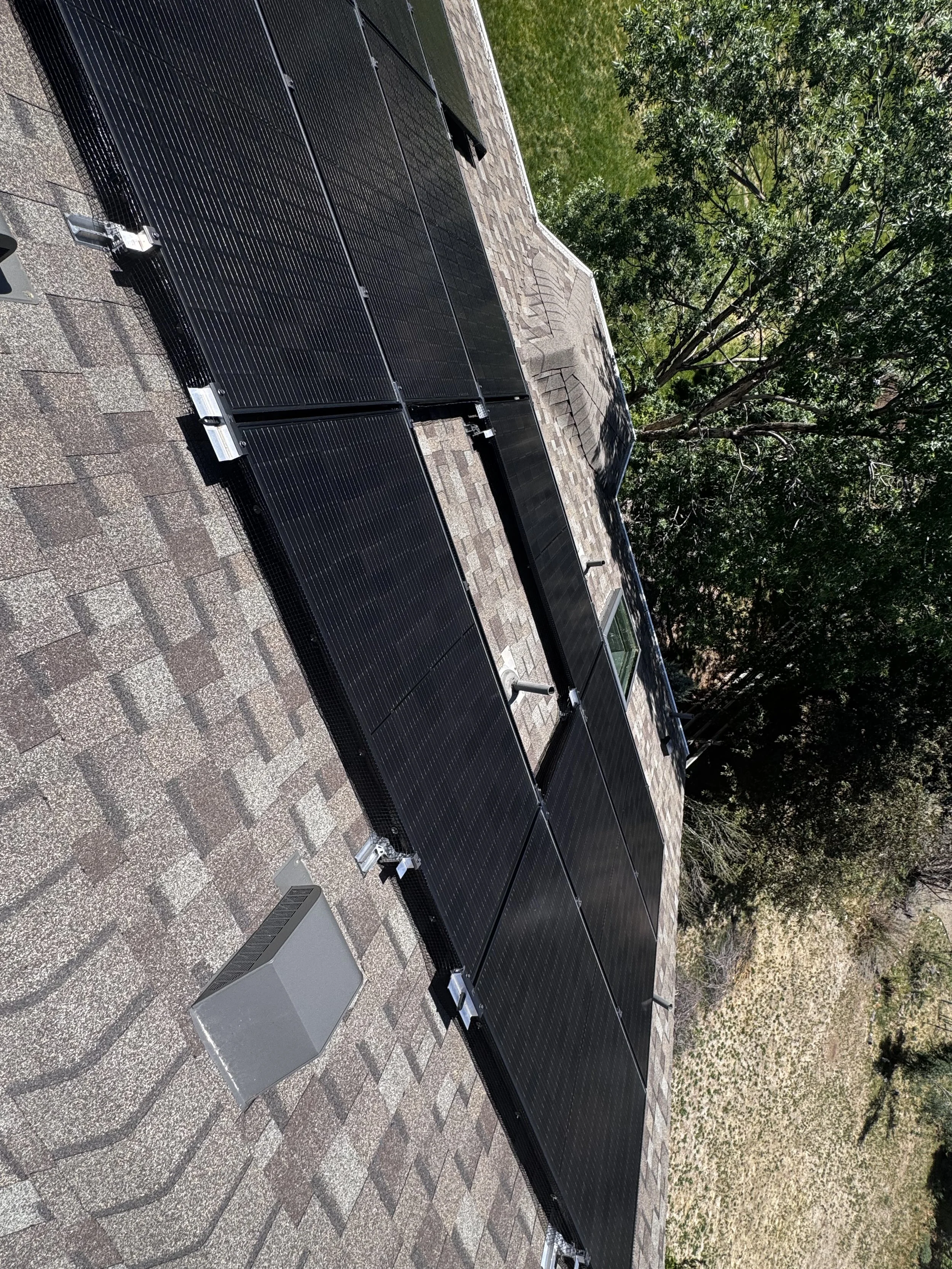 Solar panels installed on a rooftop with trees in the background.