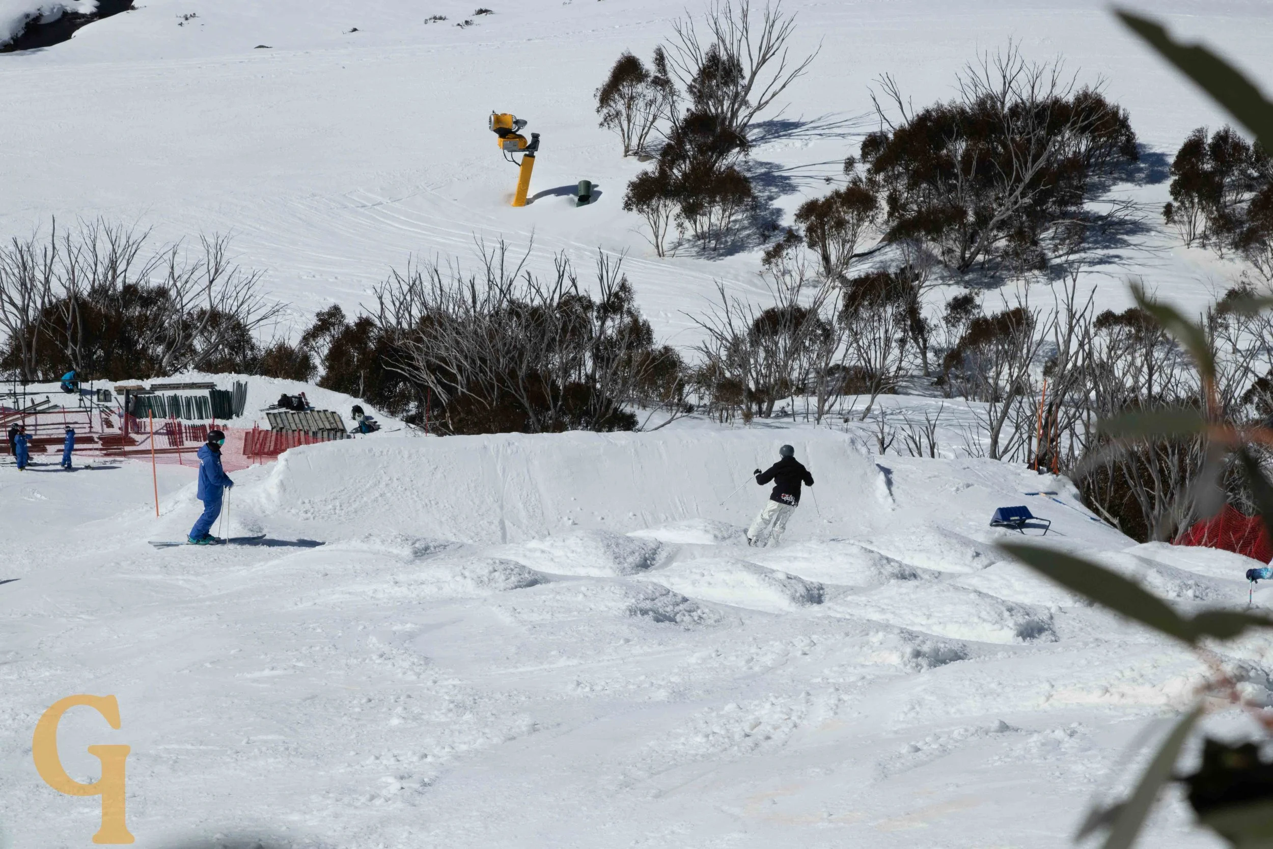 Skier riding a jump on a snow-covered ski slope with trees in the background.