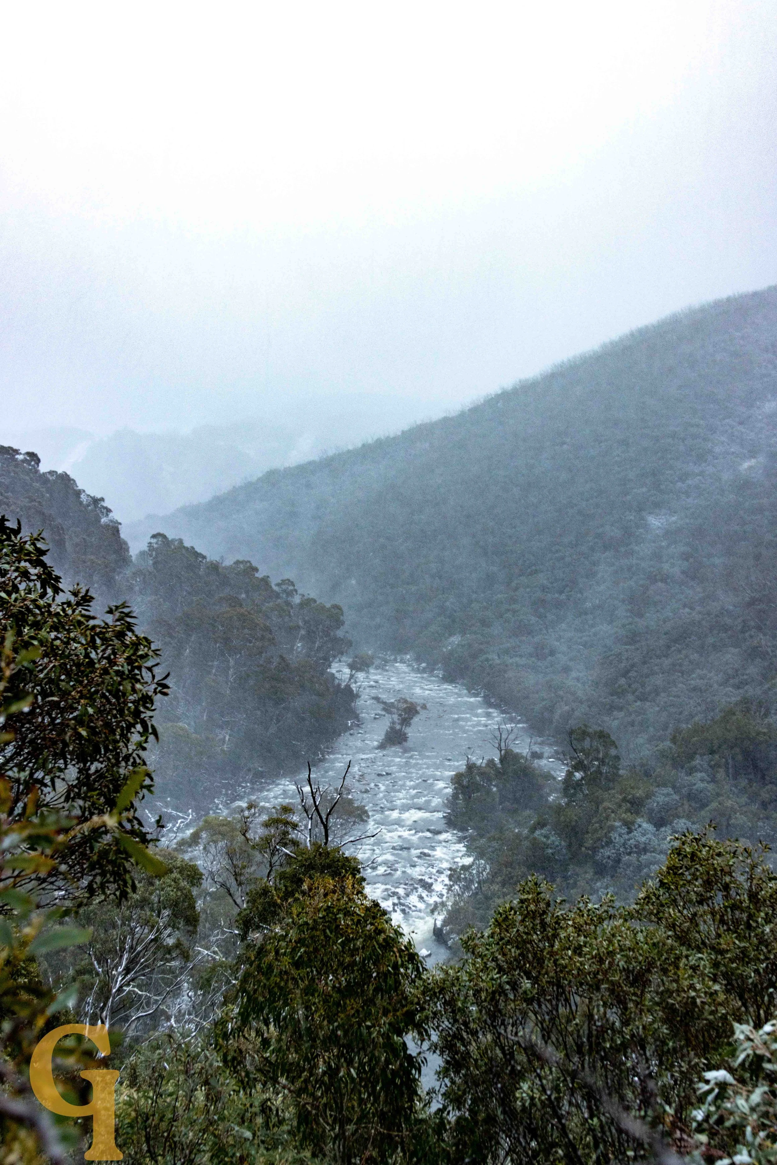 A misty mountain landscape with a river flowing through a forested valley.