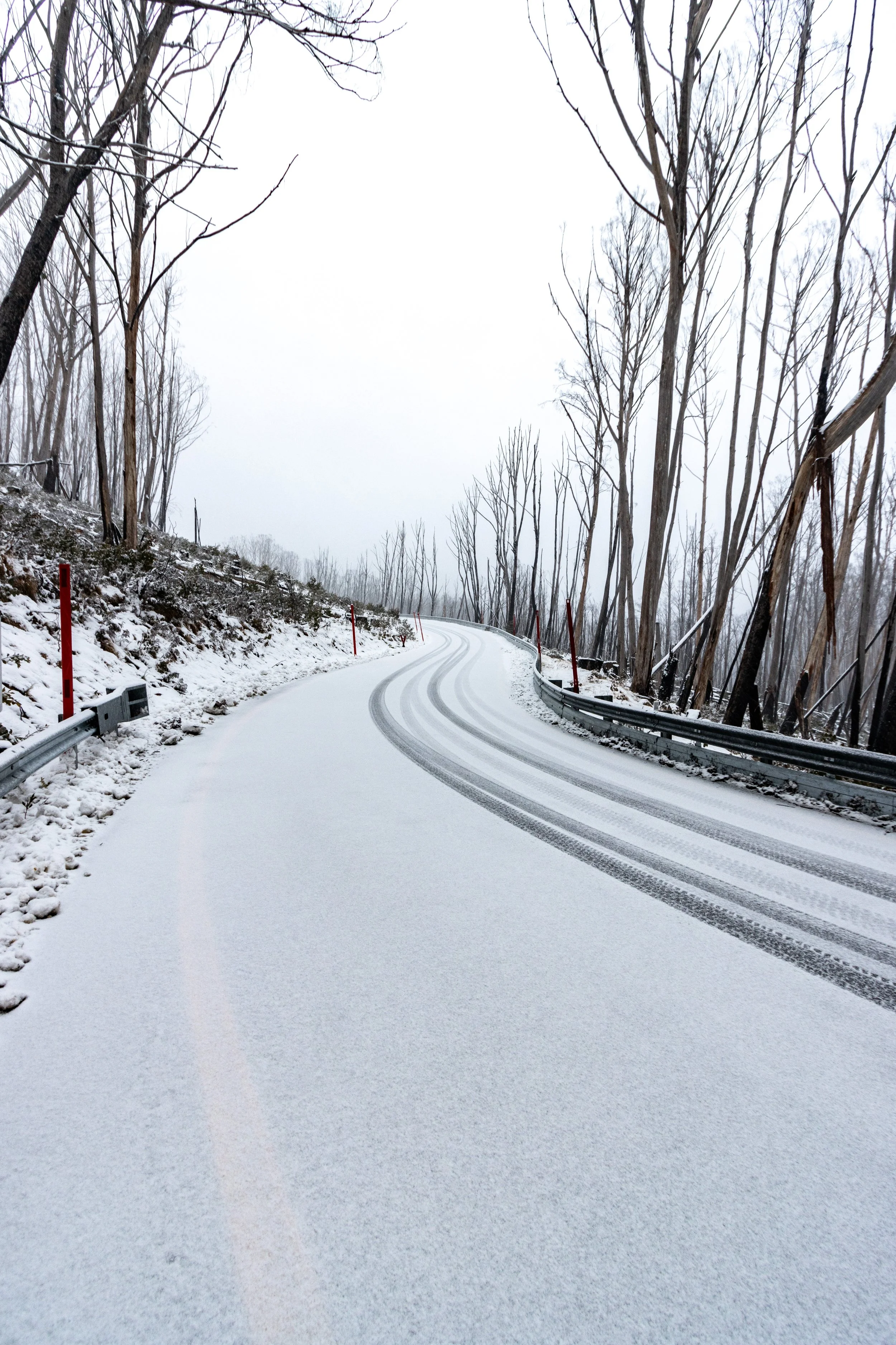 Snow-covered winding road through a wooded area with leafless trees and guardrails on both sides.