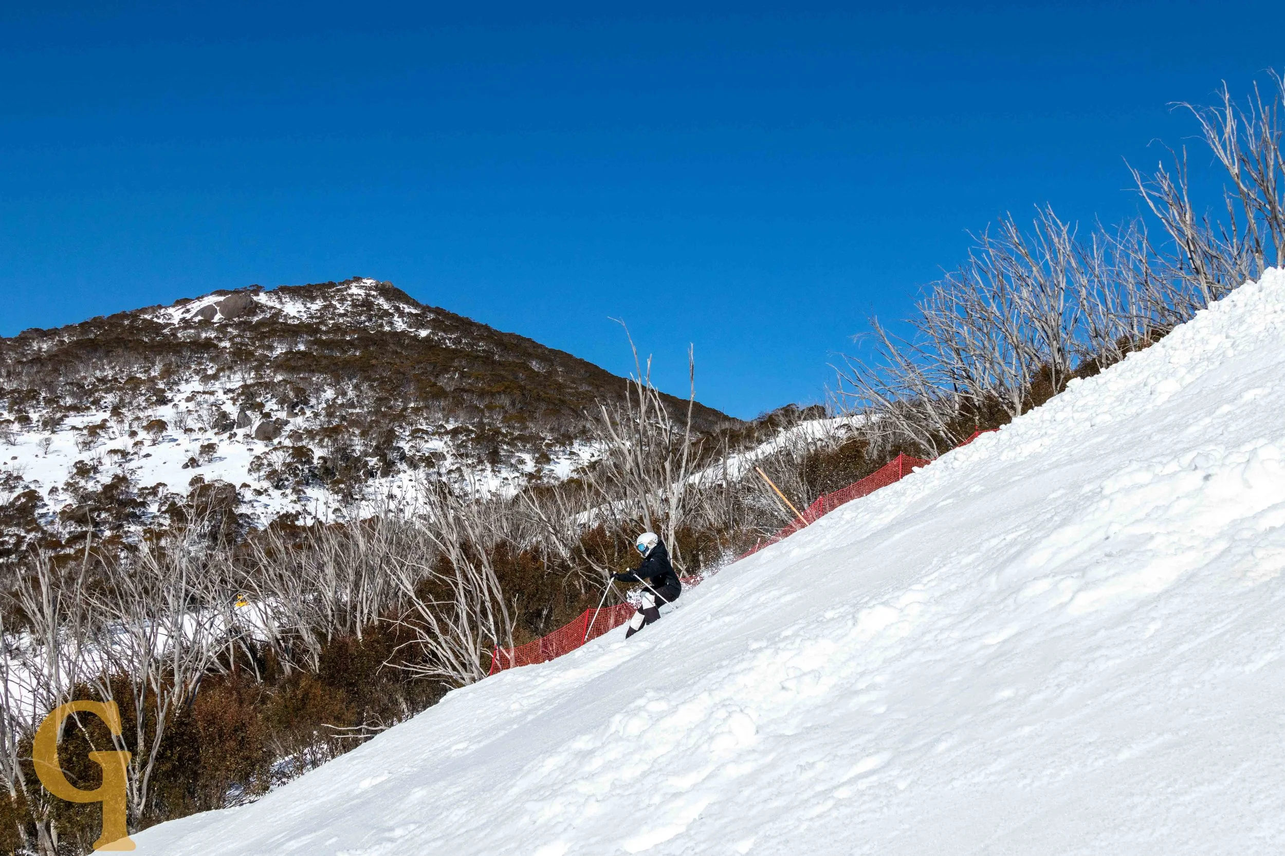 A skier in black and white gear skiing down a snowy mountain slope with leafless trees and a mountain in the background under a clear blue sky.
