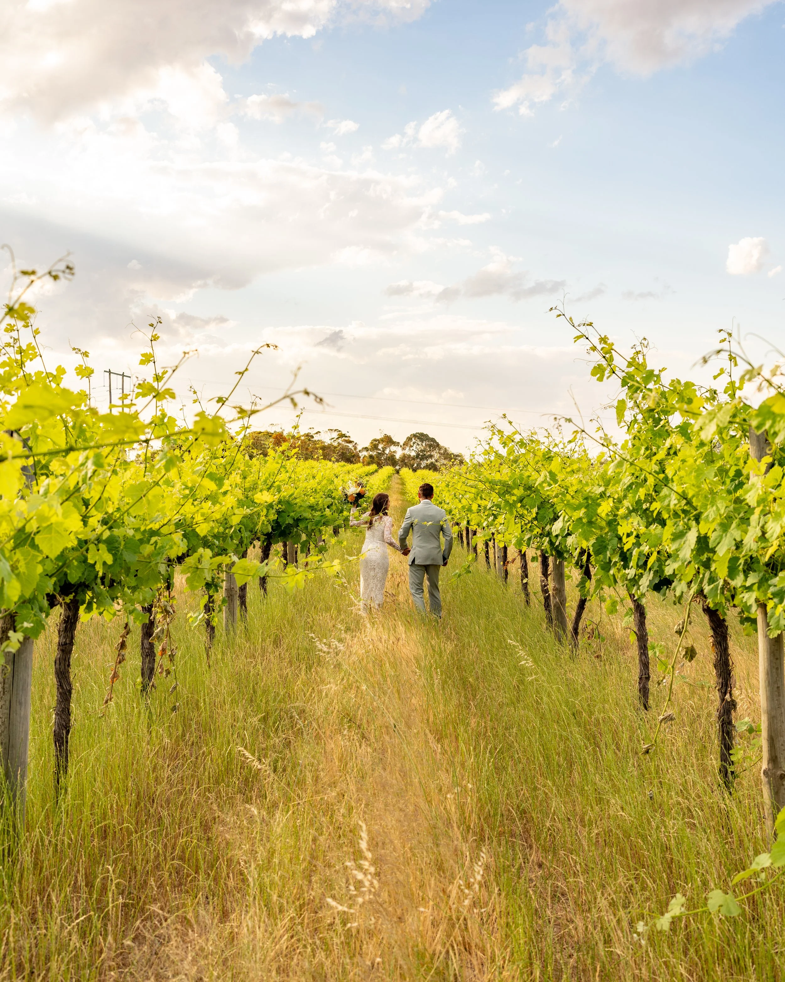 A couple in wedding attire walking hand in hand through a vineyard on a sunny day.