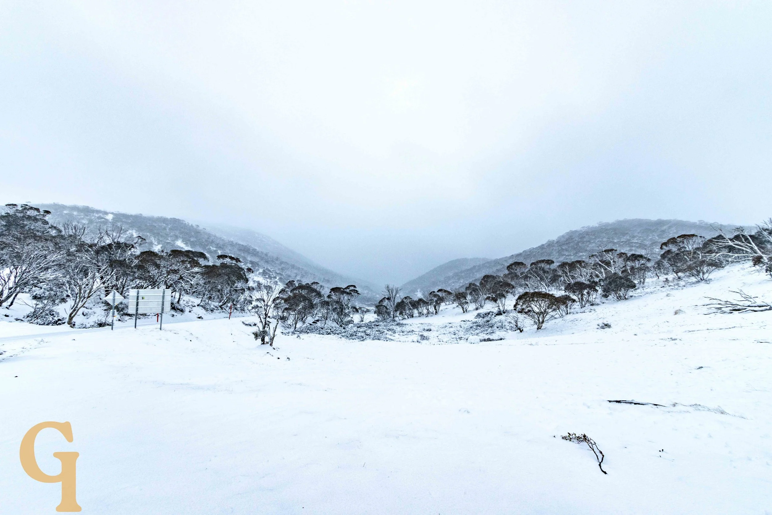 Snow-covered valley with trees on hillsides under overcast sky.