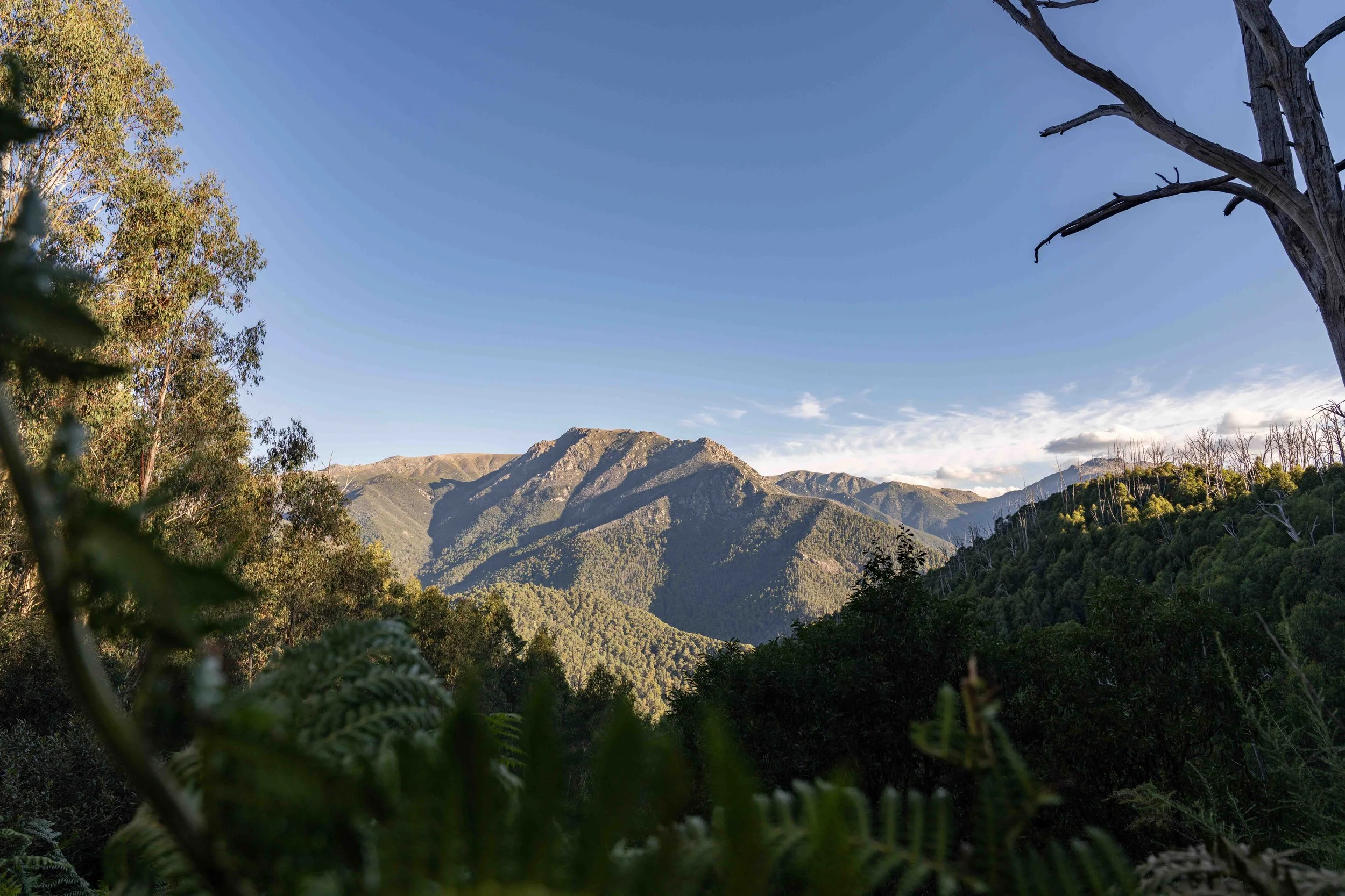 A rugged mountain within the Snowy Mountains in summer is bathed in sunshine, featuring the steep and remote mountain. Captured by photographer Ian Grant. 