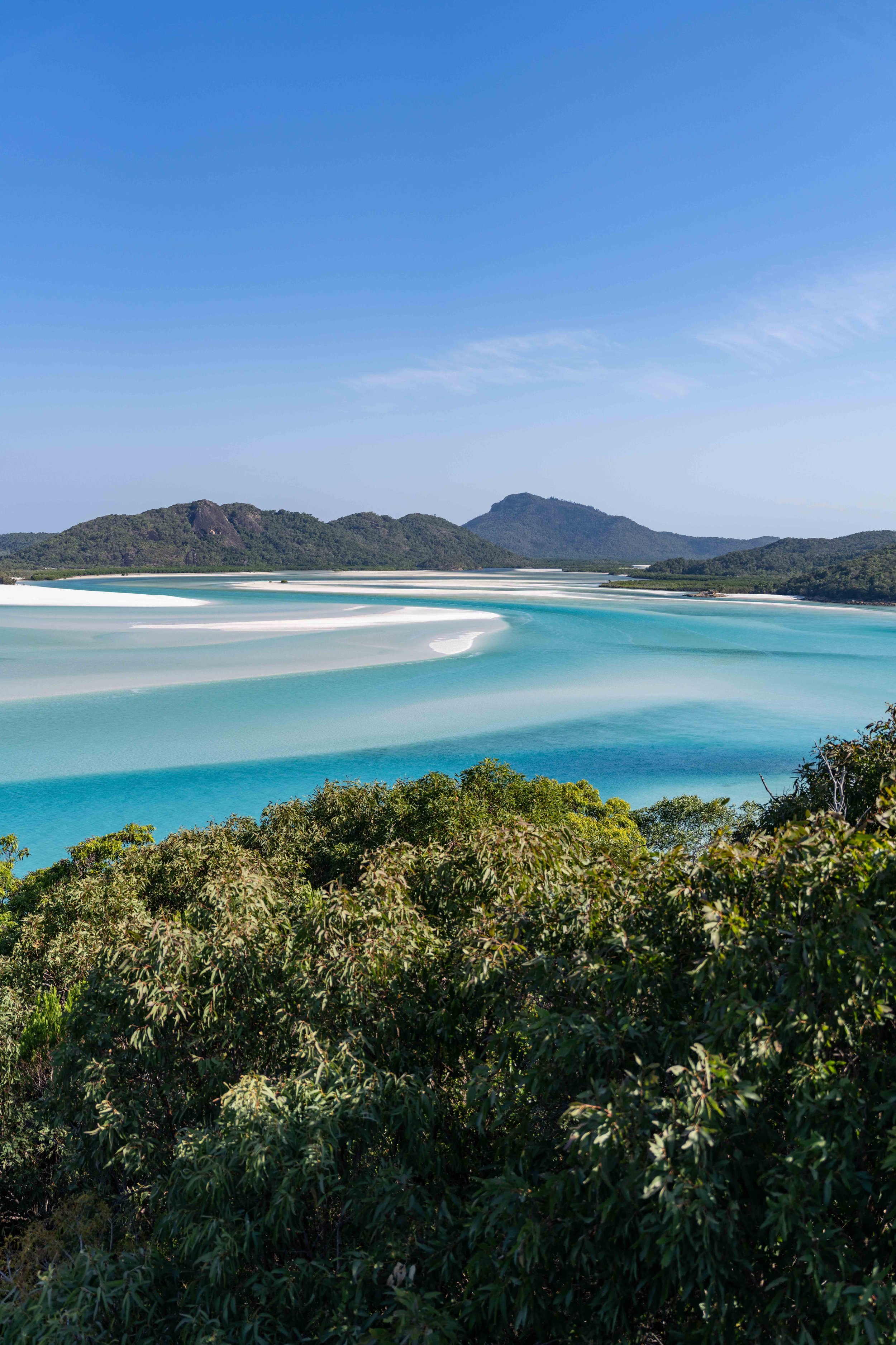 An idyllic beach in the Whitsundays featuring crystal blue water and a clear blue sky. Captured by photographer Ian Grant. 