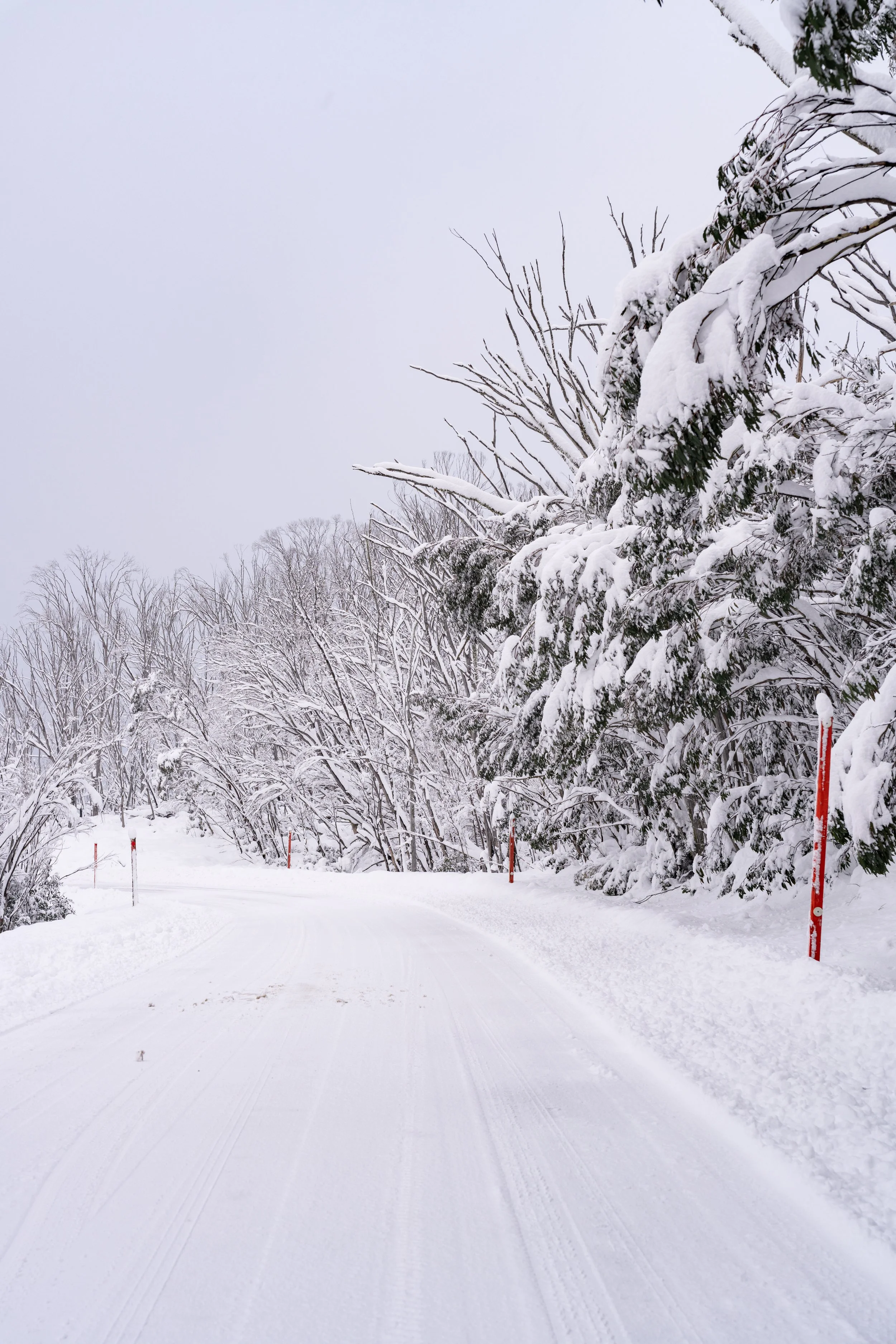 A windy road covered in snow is pictured. Taken in the Snowy Mountains, NSW, captured by photographer Ian Grant. 