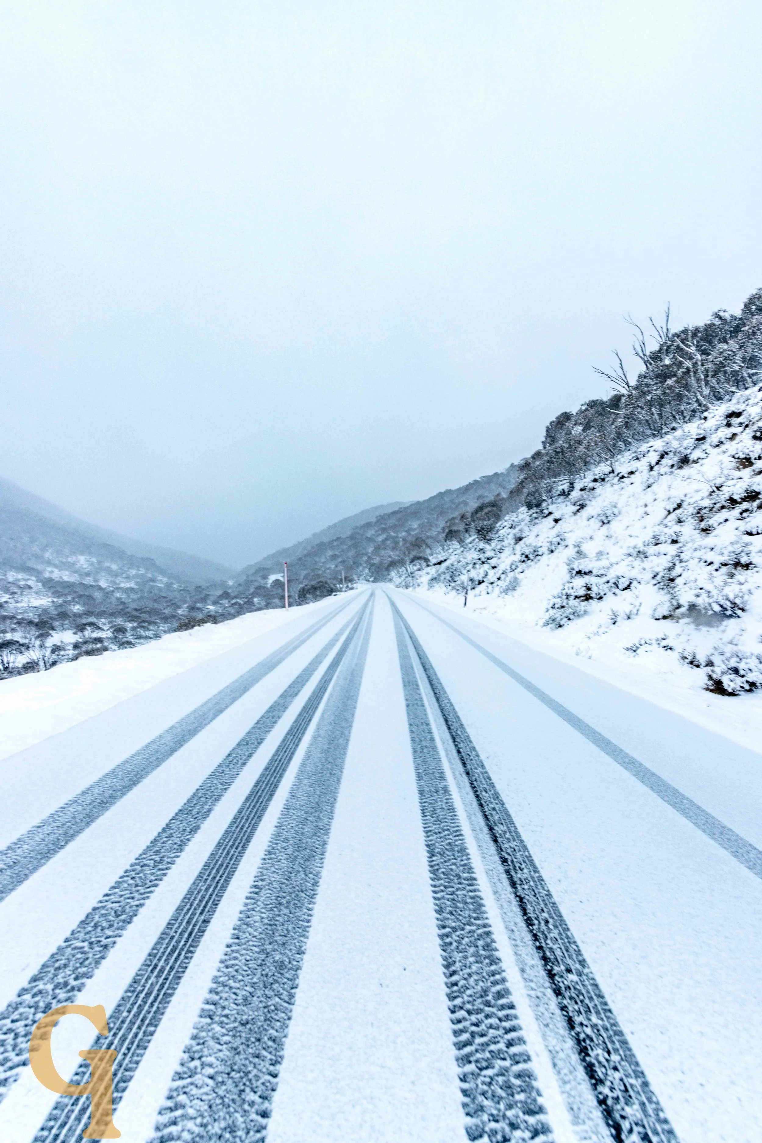 Snow-covered road in a mountainous area with tire tracks, flanked by snow-covered trees and hills under a cloudy sky.