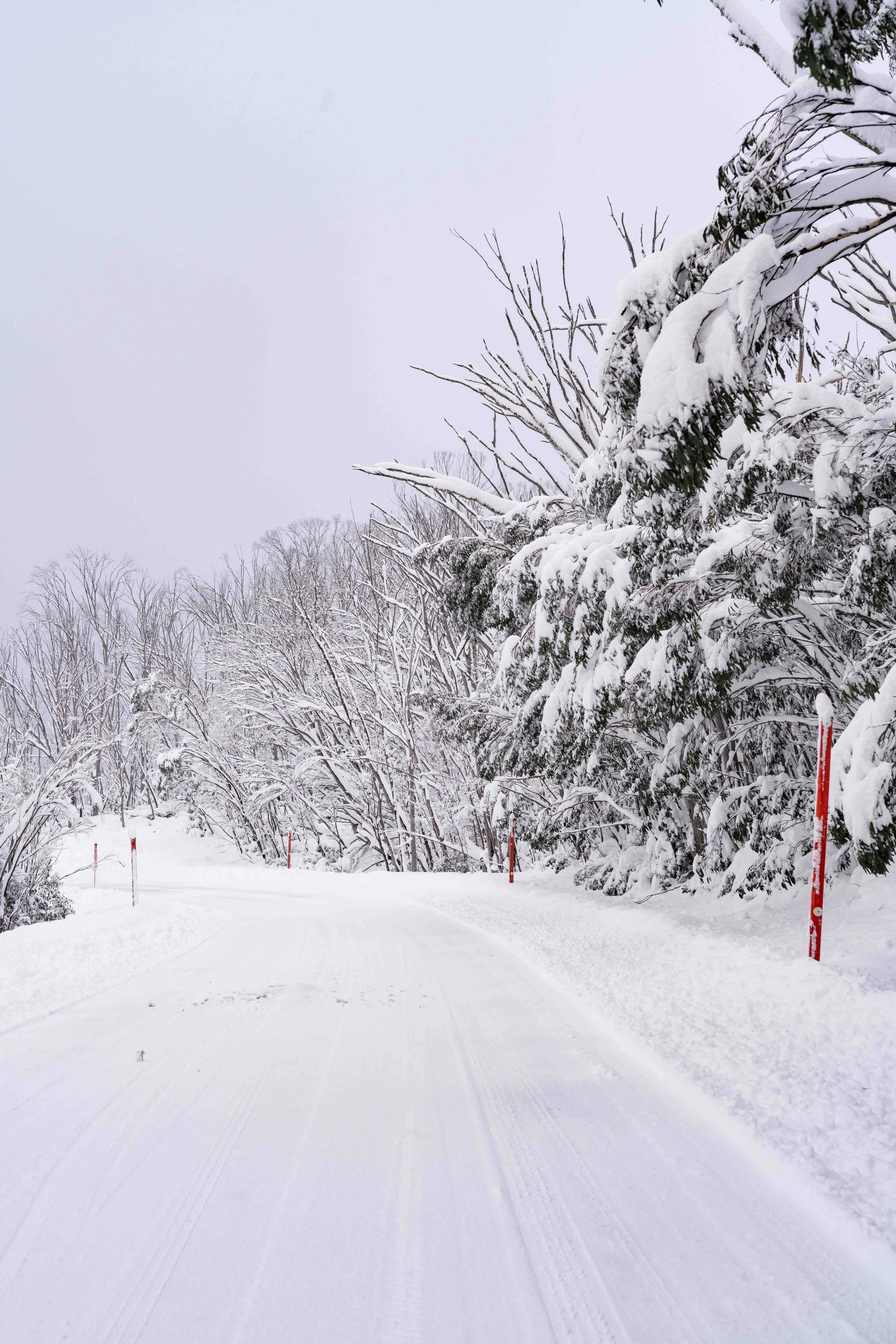 A windy road covered in snow is pictured. Taken in the Snowy Mountains, NSW, captured by photographer Ian Grant. 