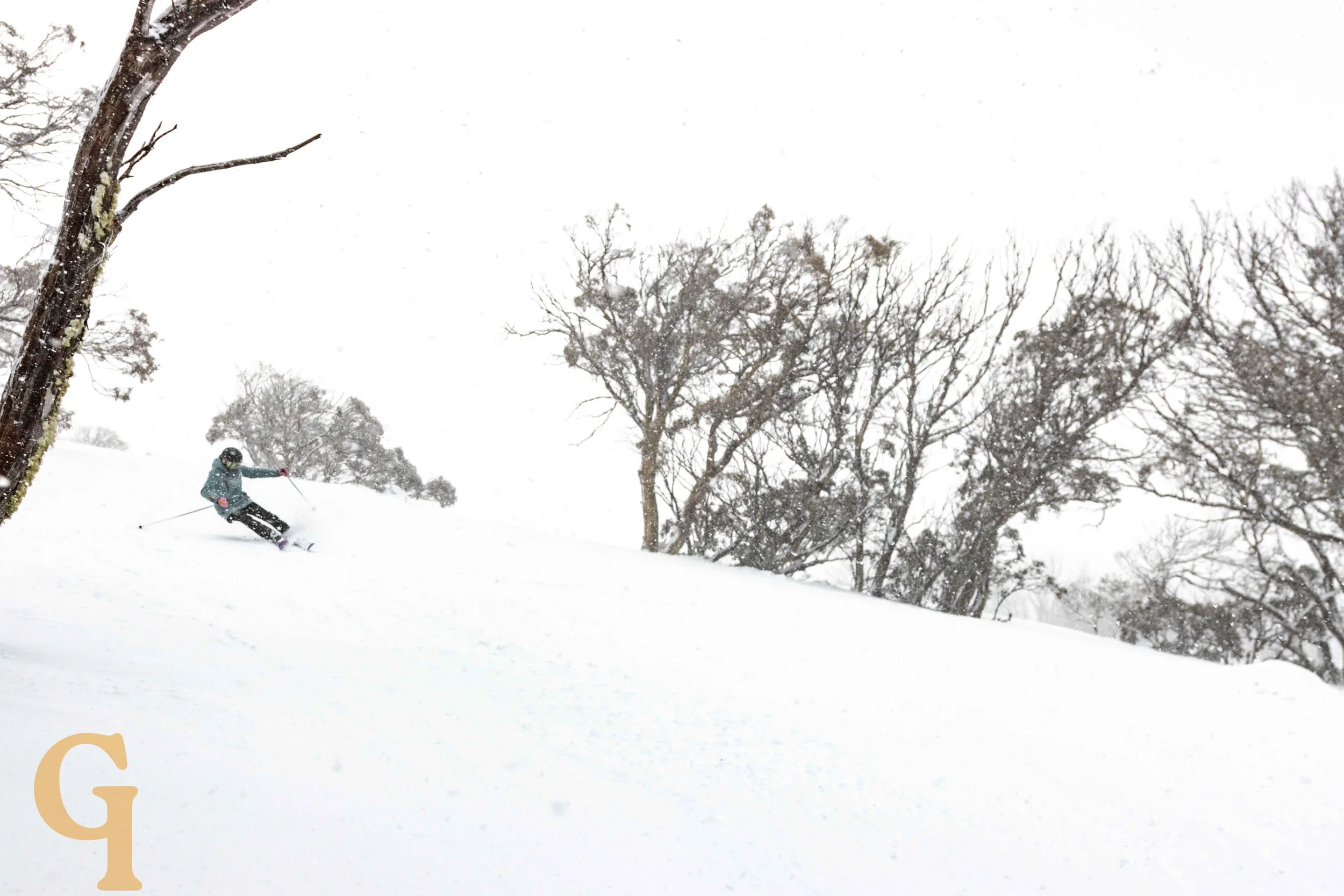 A person skiing down a snowy slope surrounded by snow-covered trees during a snowstorm.
