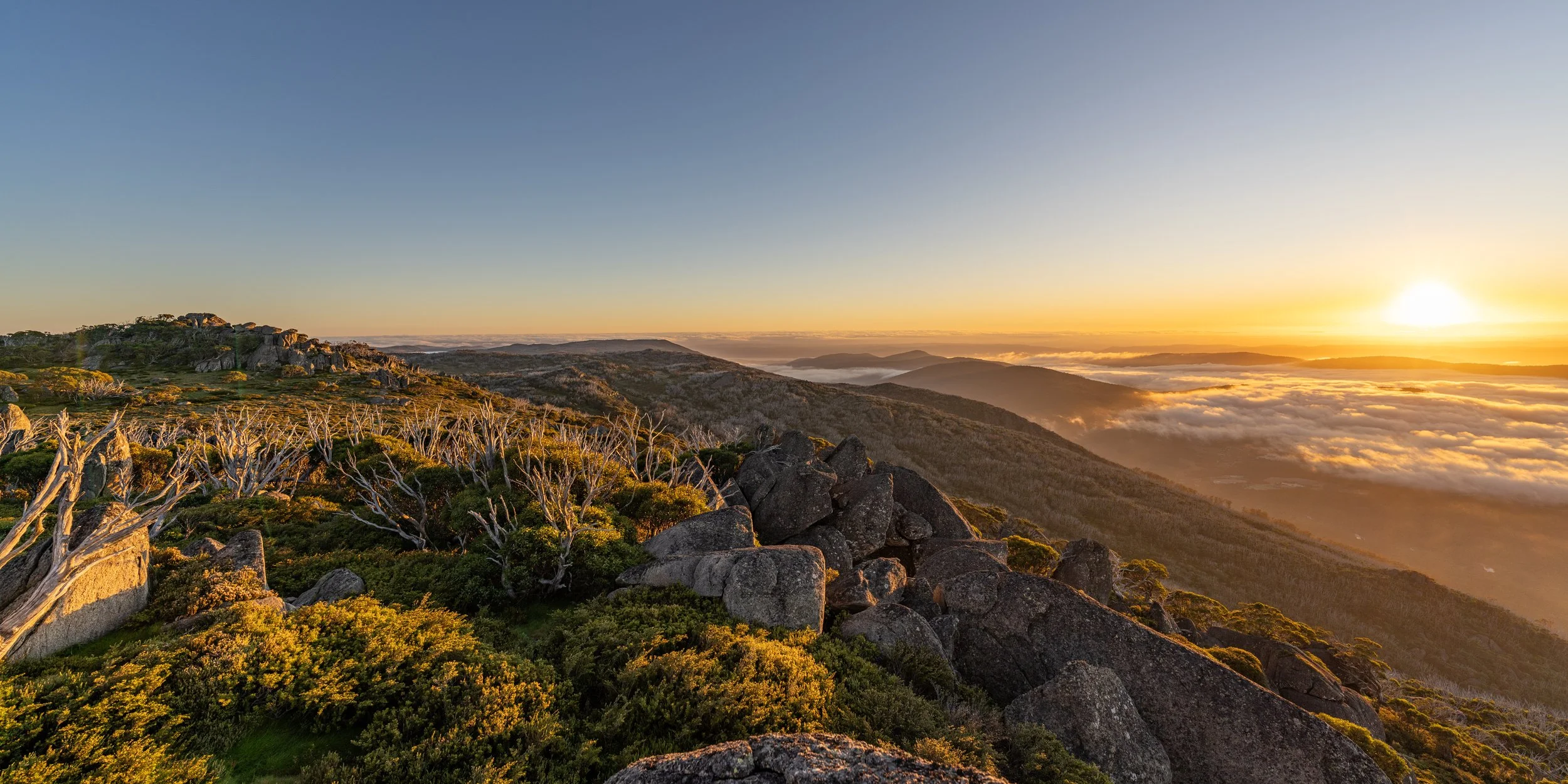 Sunrise over a mountain landscape with rocky terrain, sparse trees, and a sea of clouds in the distance.