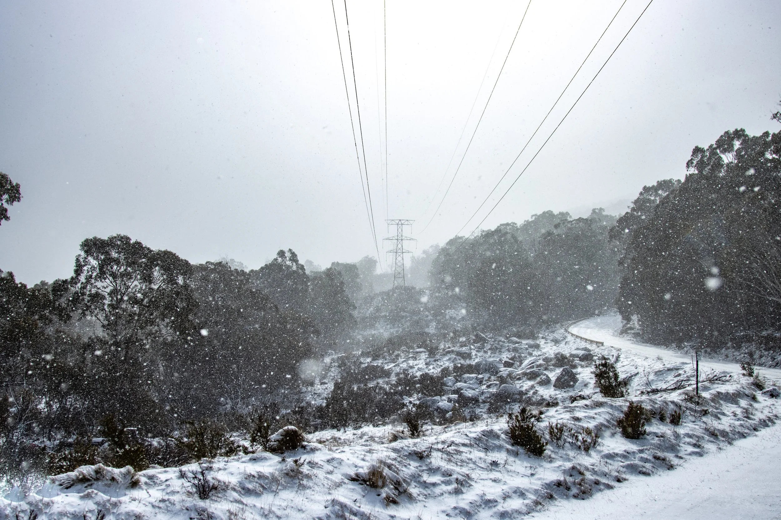 Snow-covered road and landscape with trees and power lines, snow falling during winter weather.