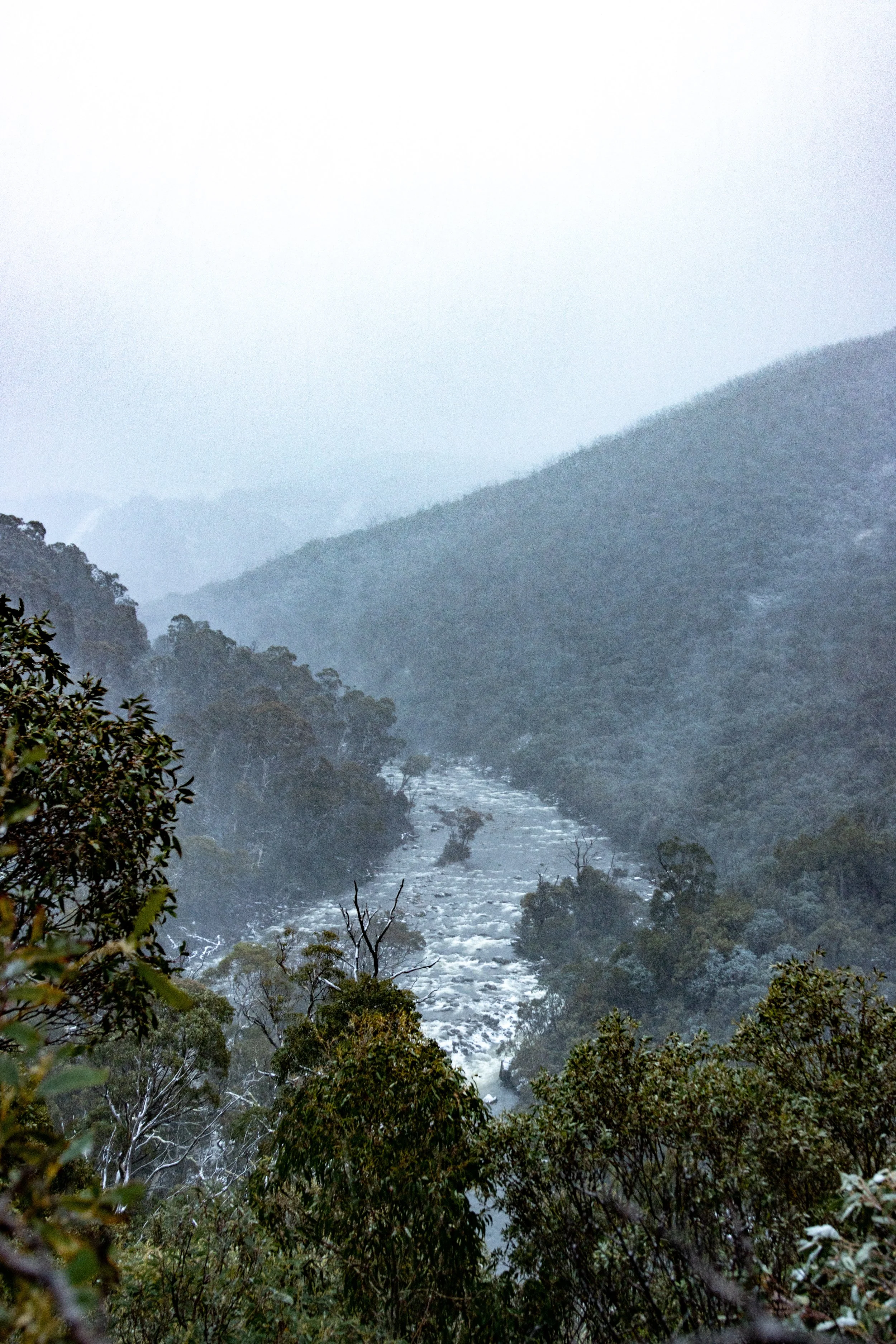 A misty mountain landscape with a river flowing through a forested valley.