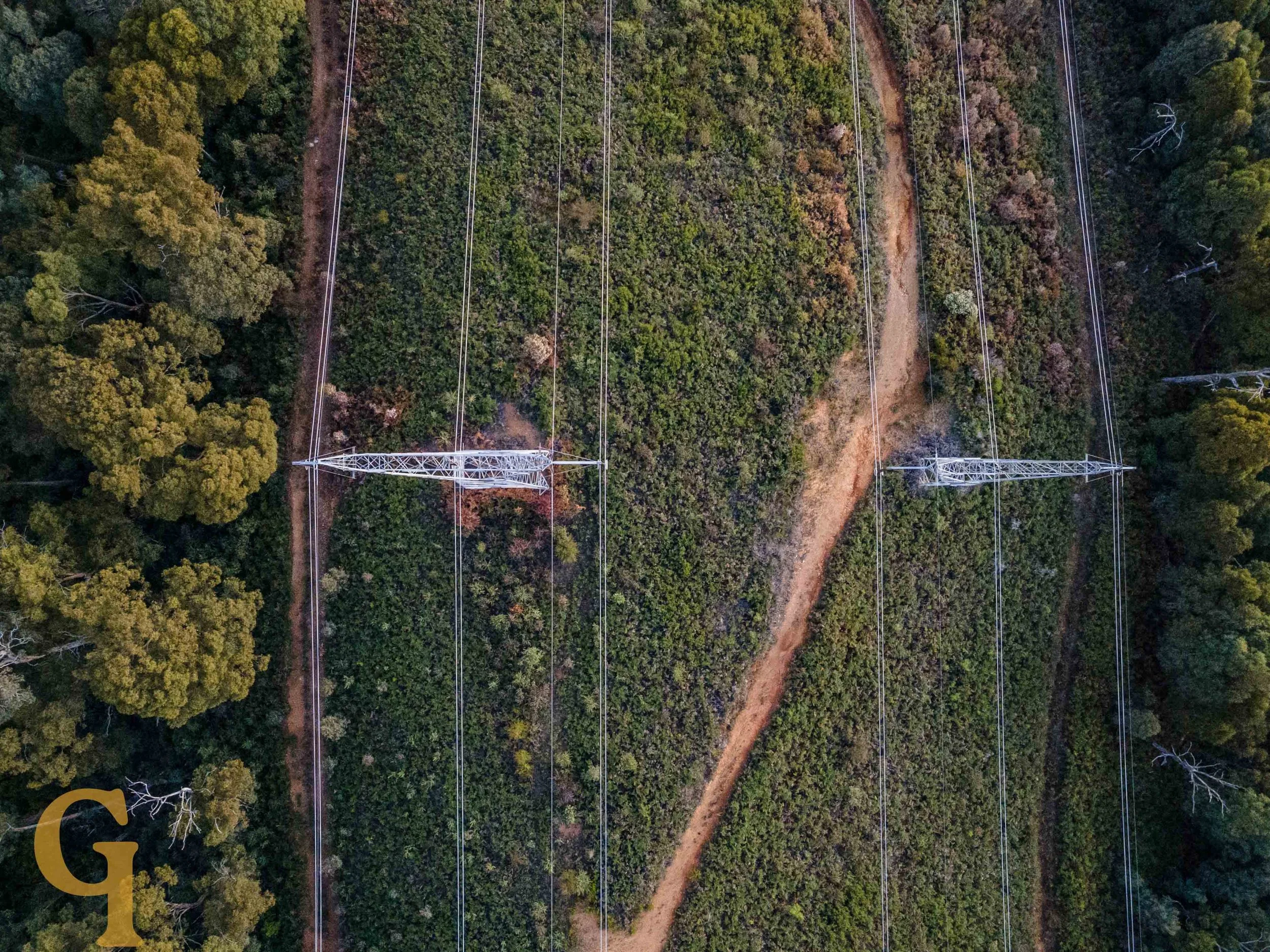 Aerial view of power lines running through a forested area with a dirt trail visible in the middle.