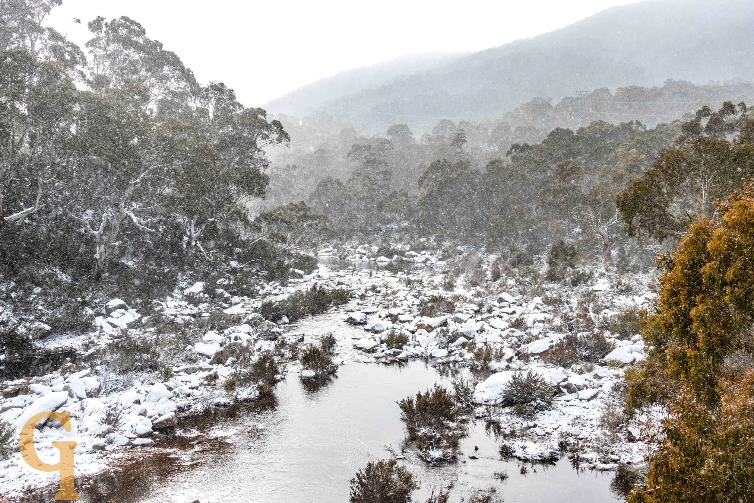 Snow-covered trees and rocks along a river in a mountainous forest during snowfall.