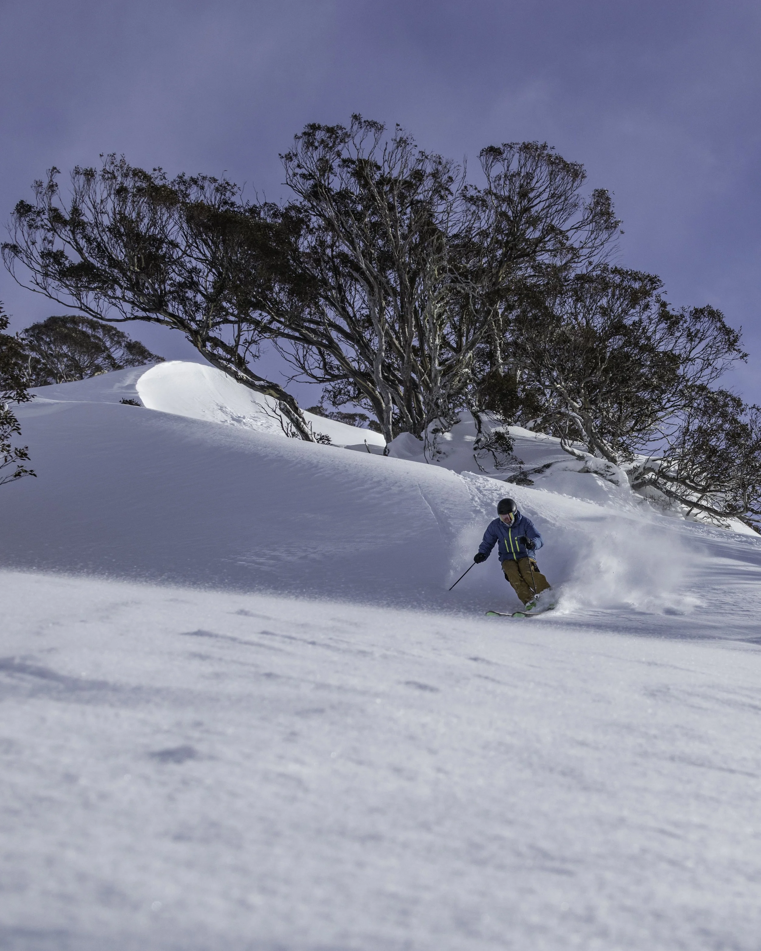 Person skiing down a snowy slope with trees and a cloudy sky in the background.