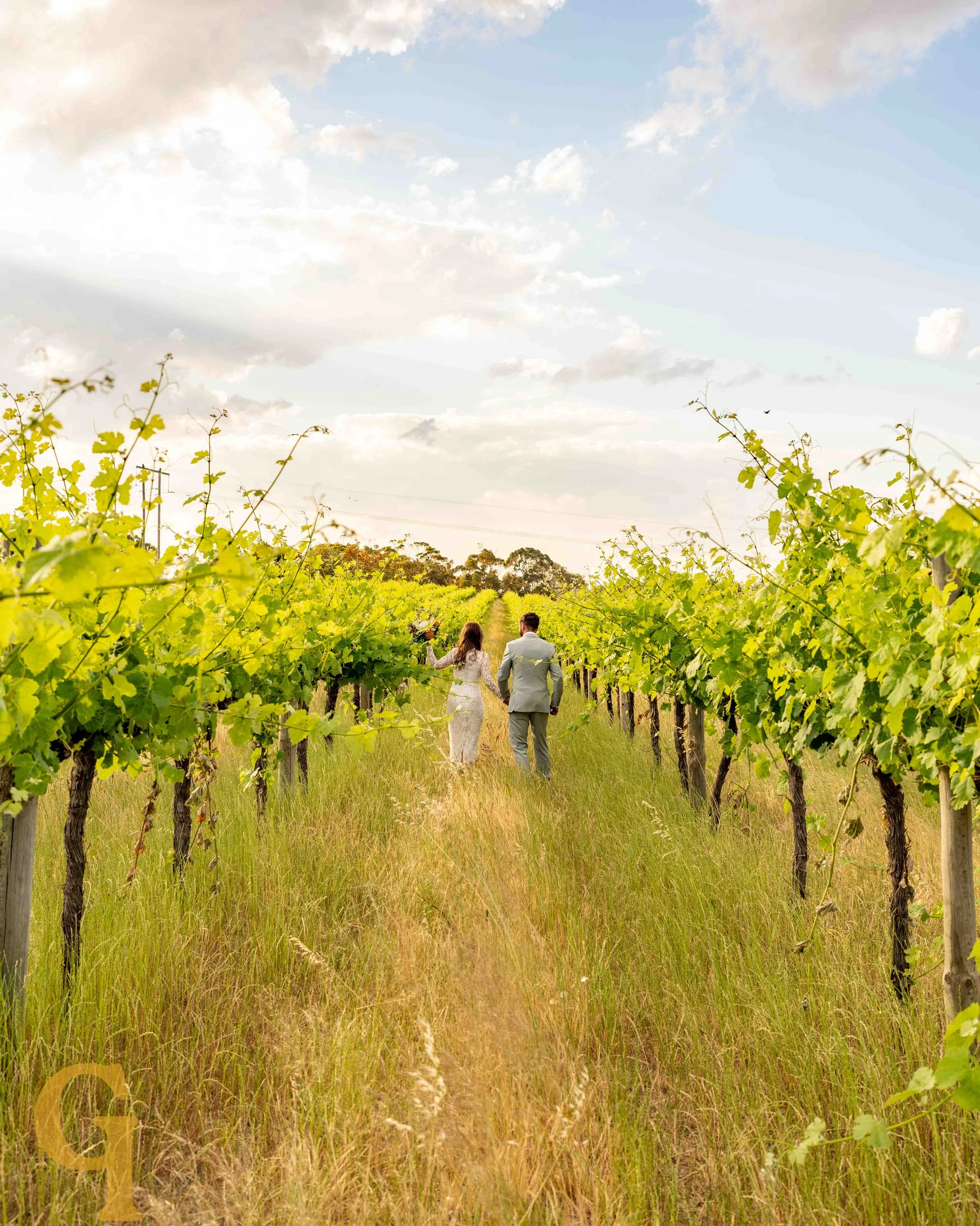 A couple in wedding attire walking hand in hand through a vineyard on a sunny day.