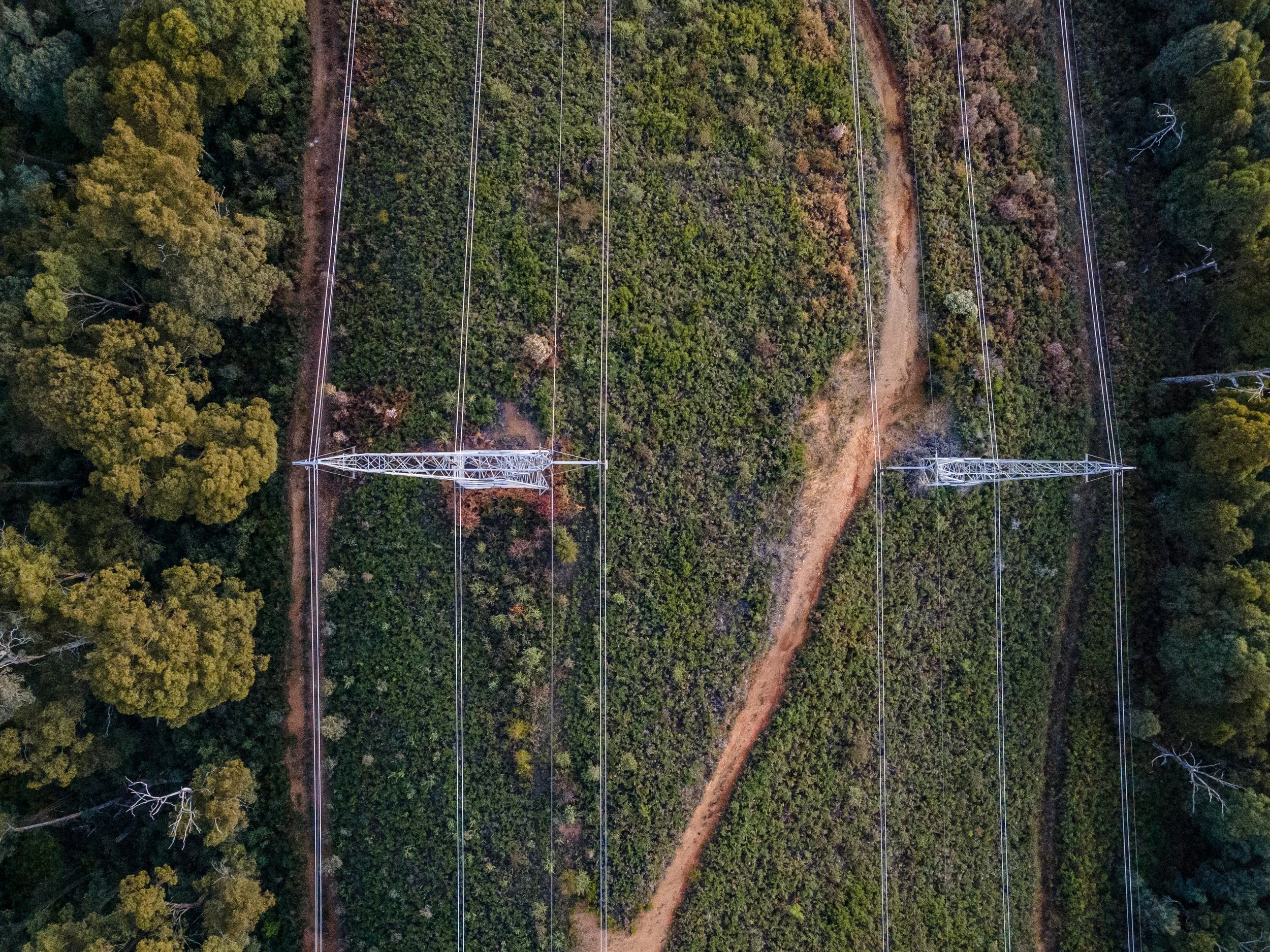 Aerial view of power lines running through a forested area with a dirt trail visible in the middle.