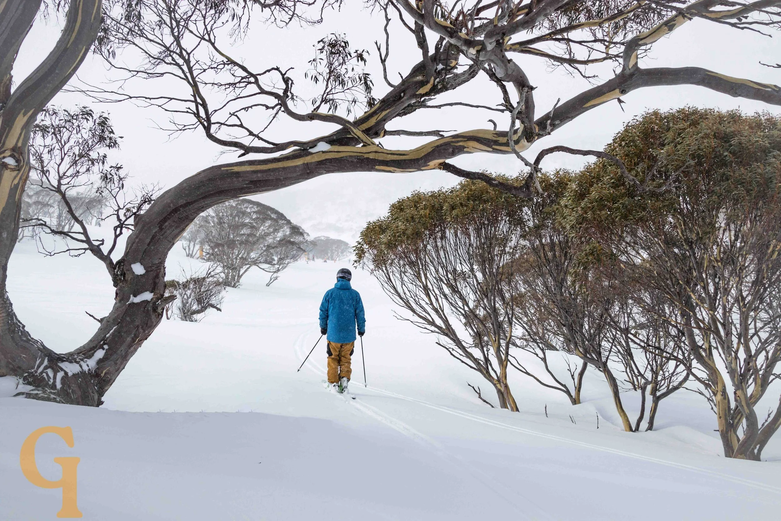 A person dressed in a blue winter jacket and tan pants cross-country skiing through a snowy landscape, framed by leafless trees and snow-covered shrubs in the background.