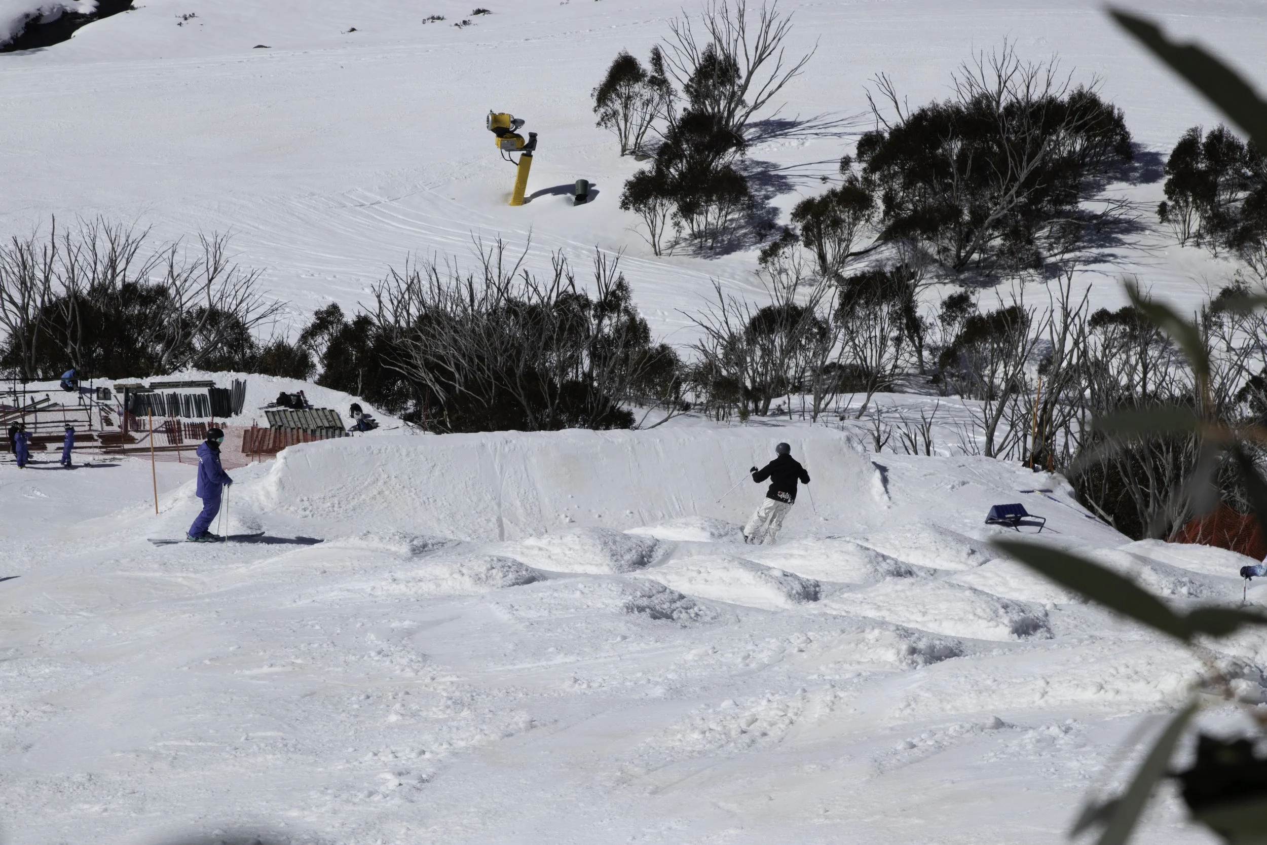 Skier riding a jump on a snow-covered ski slope with trees in the background.