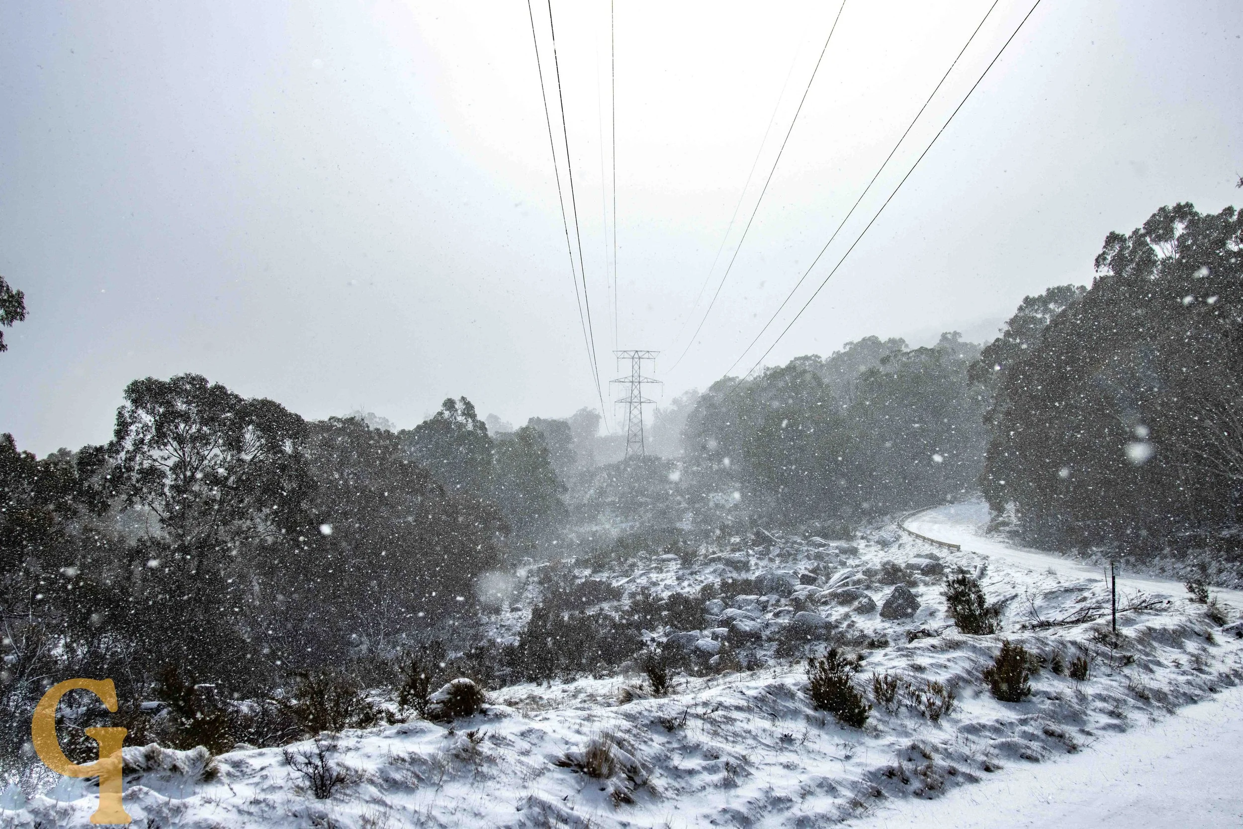 Snow-covered road and landscape with trees and power lines, snow falling during winter weather.