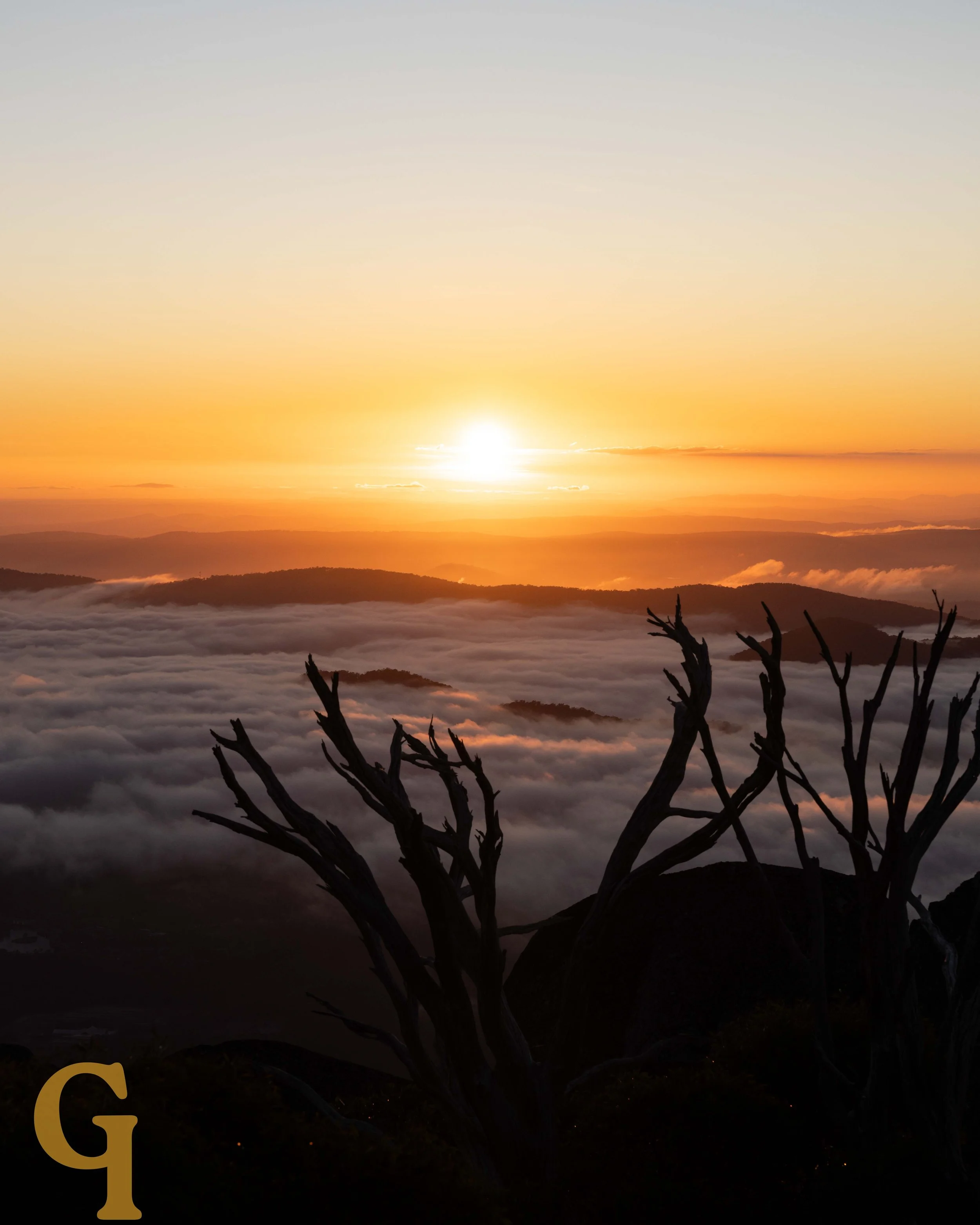 Sunrise over a mountain landscape with clouds and a silhouetted tree in the foreground.