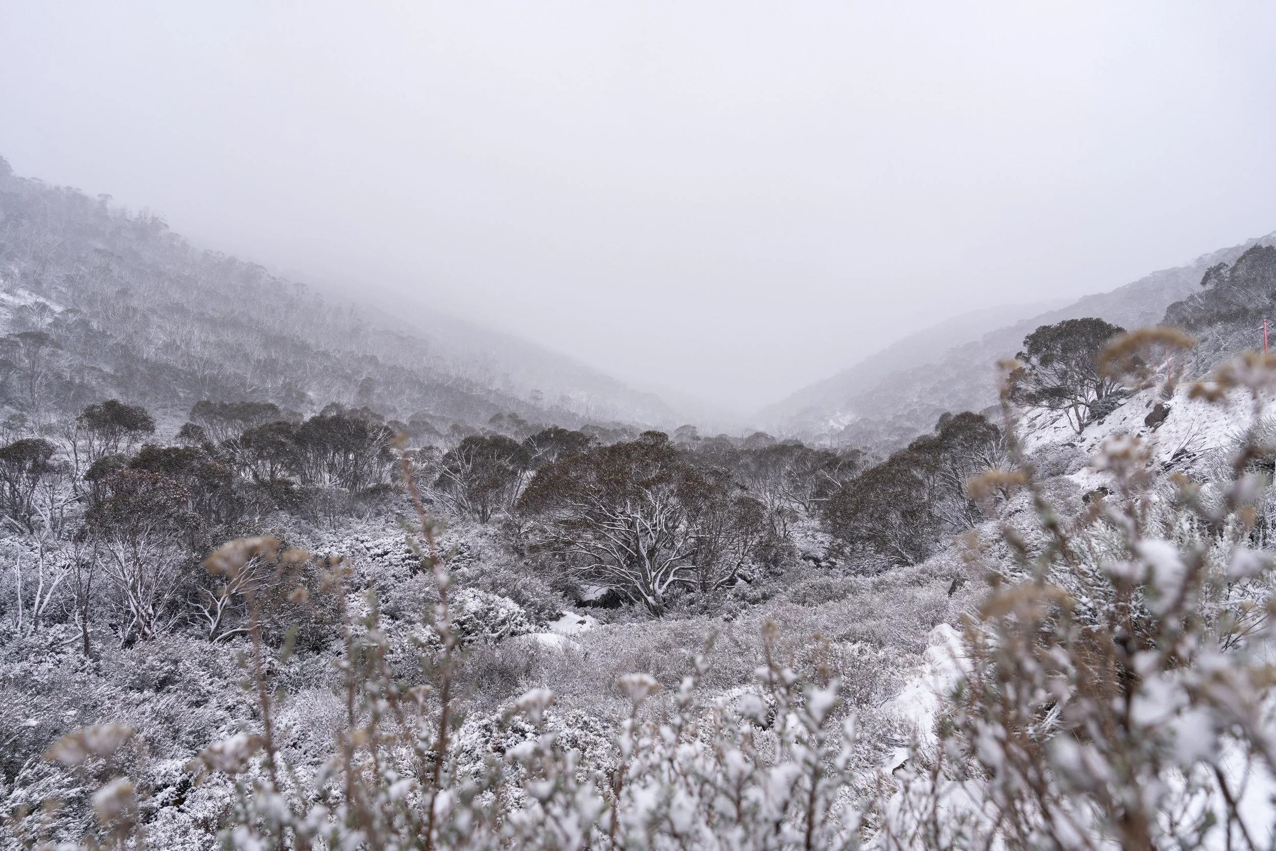 Snow-covered mountain landscape with trees and fog in the distance
