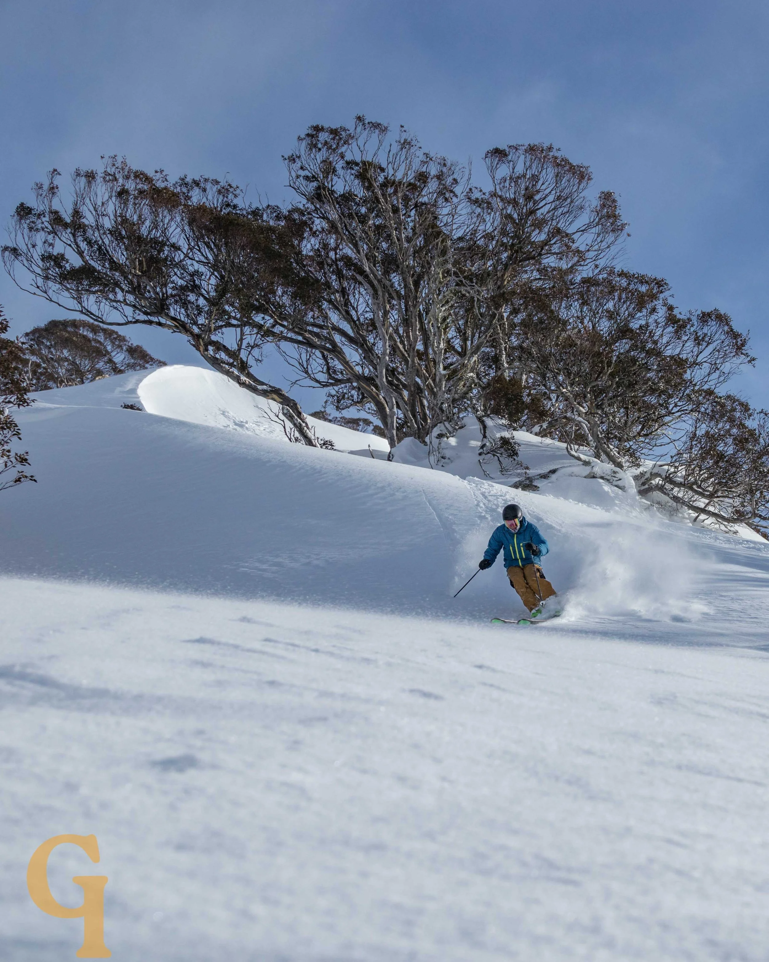Person skiing down a snowy slope with trees and a cloudy sky in the background.